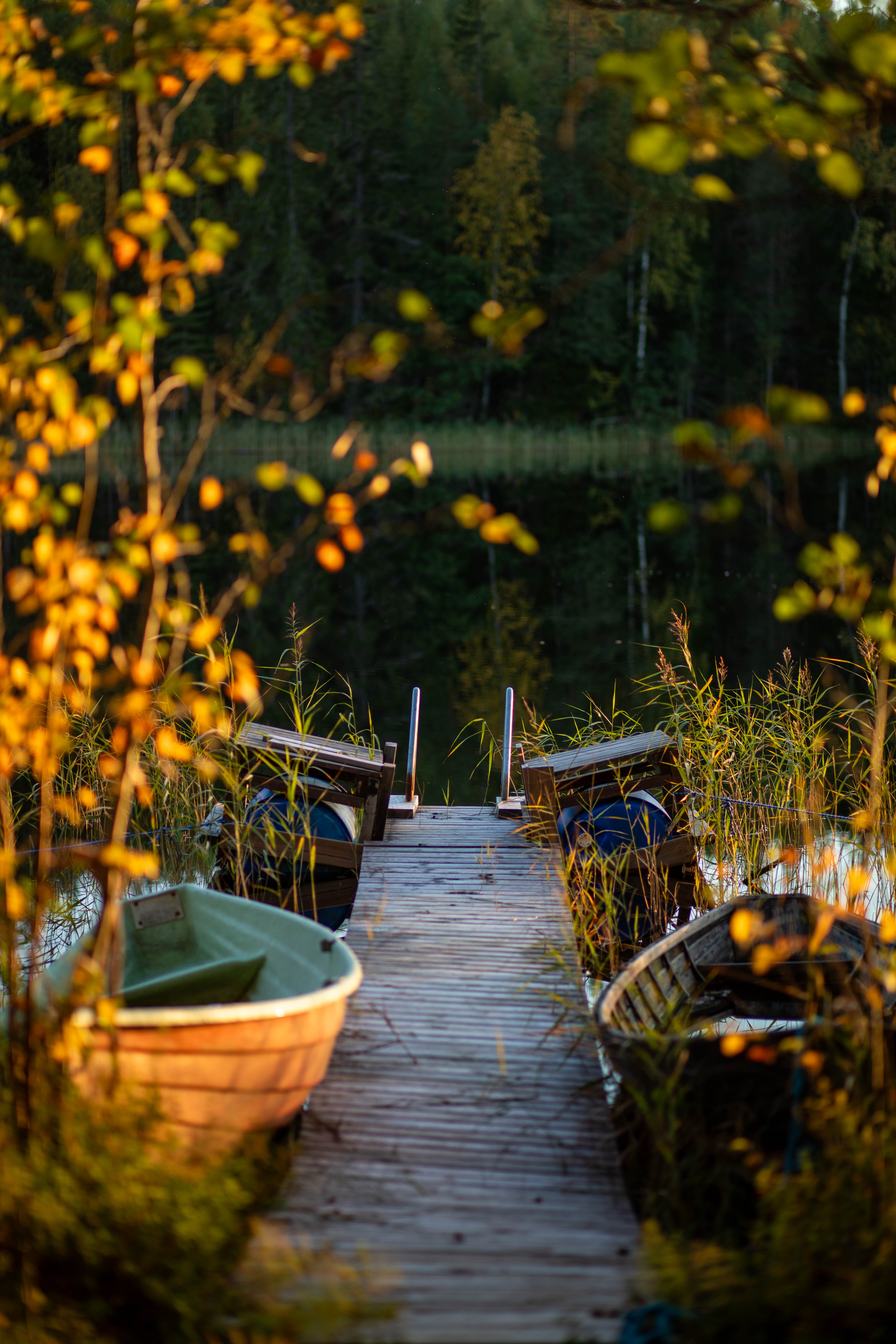 Sammalkankaantie 187, Mäntyharju