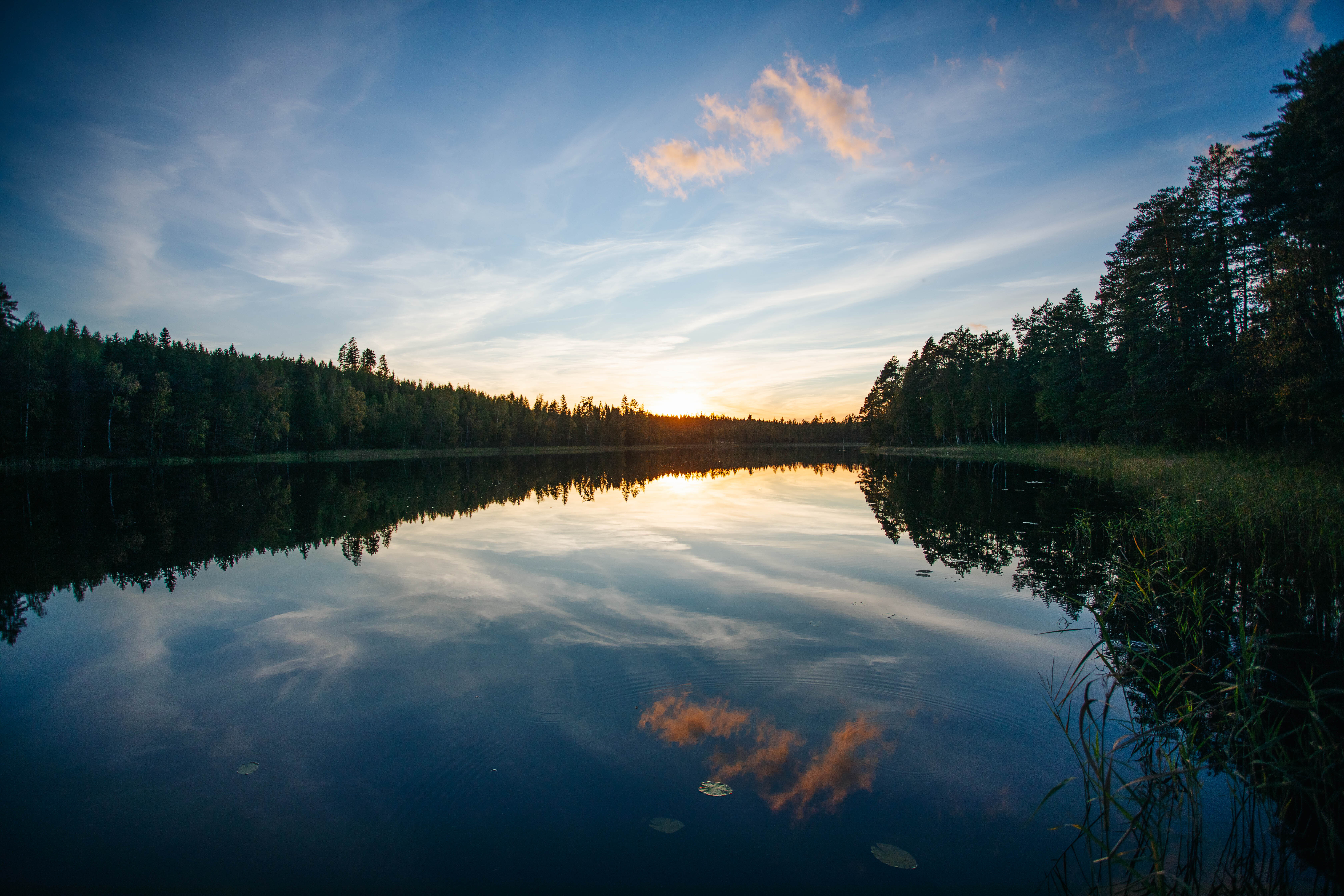 Sammalkankaantie 187, Mäntyharju