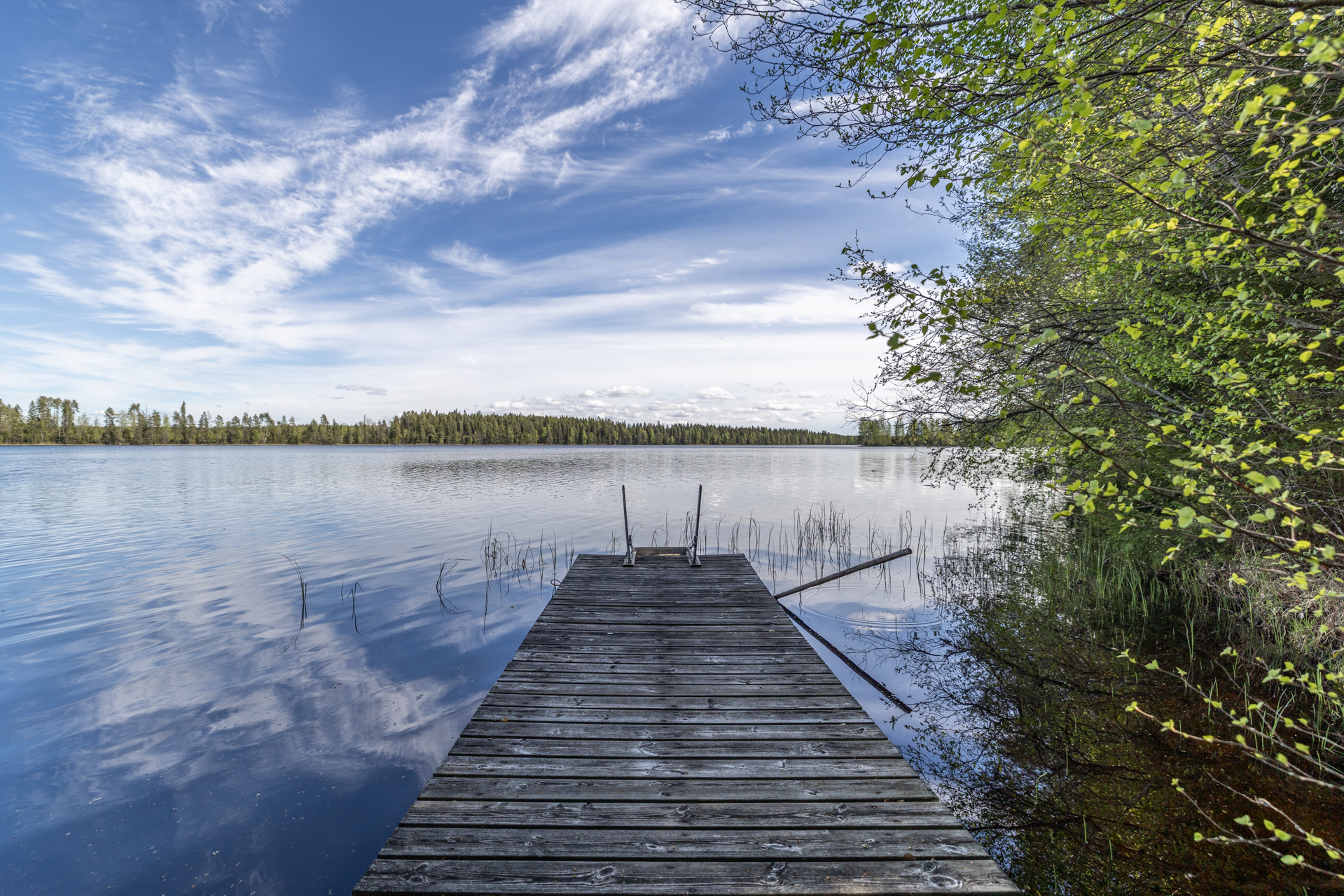 Ranta avautuu koiliseen