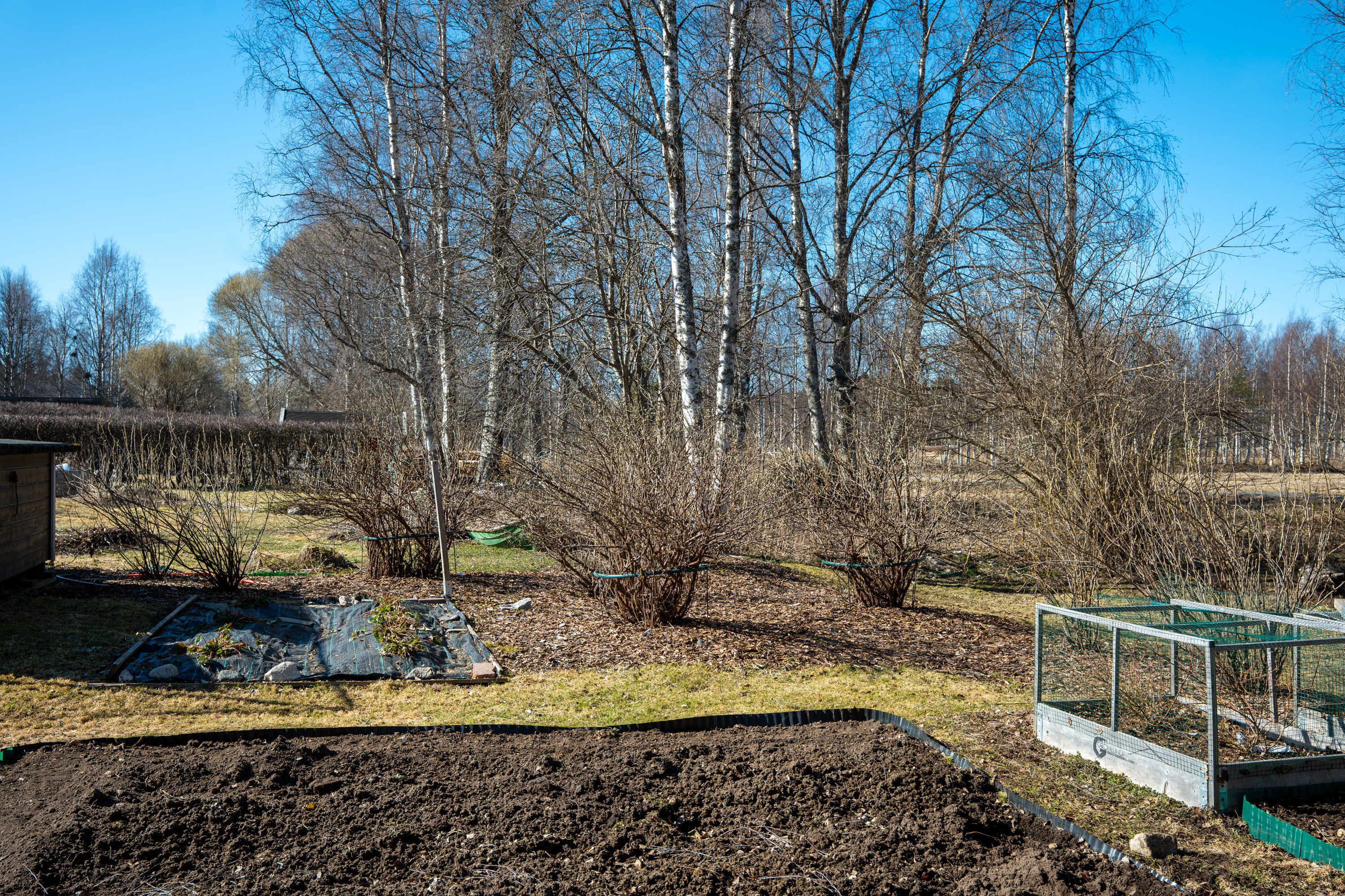 Mesiheinäntie 10, Laajankangas, Kajaani