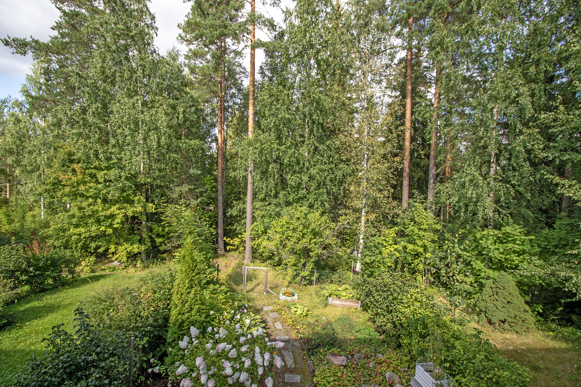Suojaisa ja kaunis piha rajoittuu metsään
