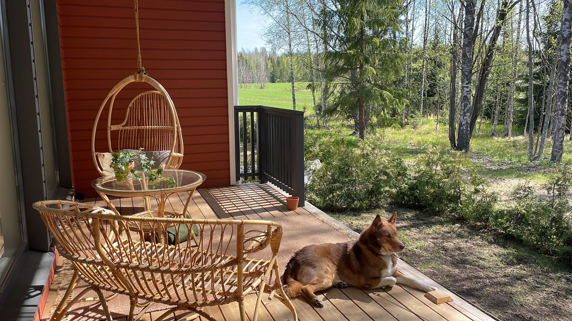 Asiakkaan kesäkuva