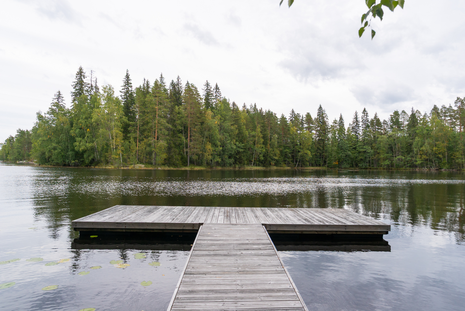 Suinulantie 194, Päijälä, Kuhmoinen