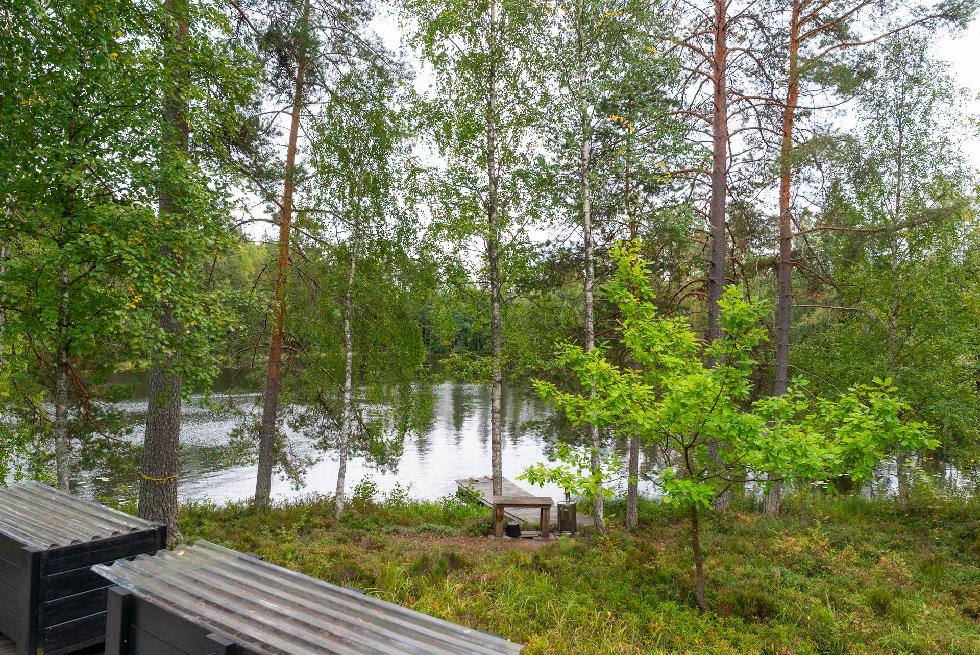 Suinulantie 194, Päijälä, Kuhmoinen