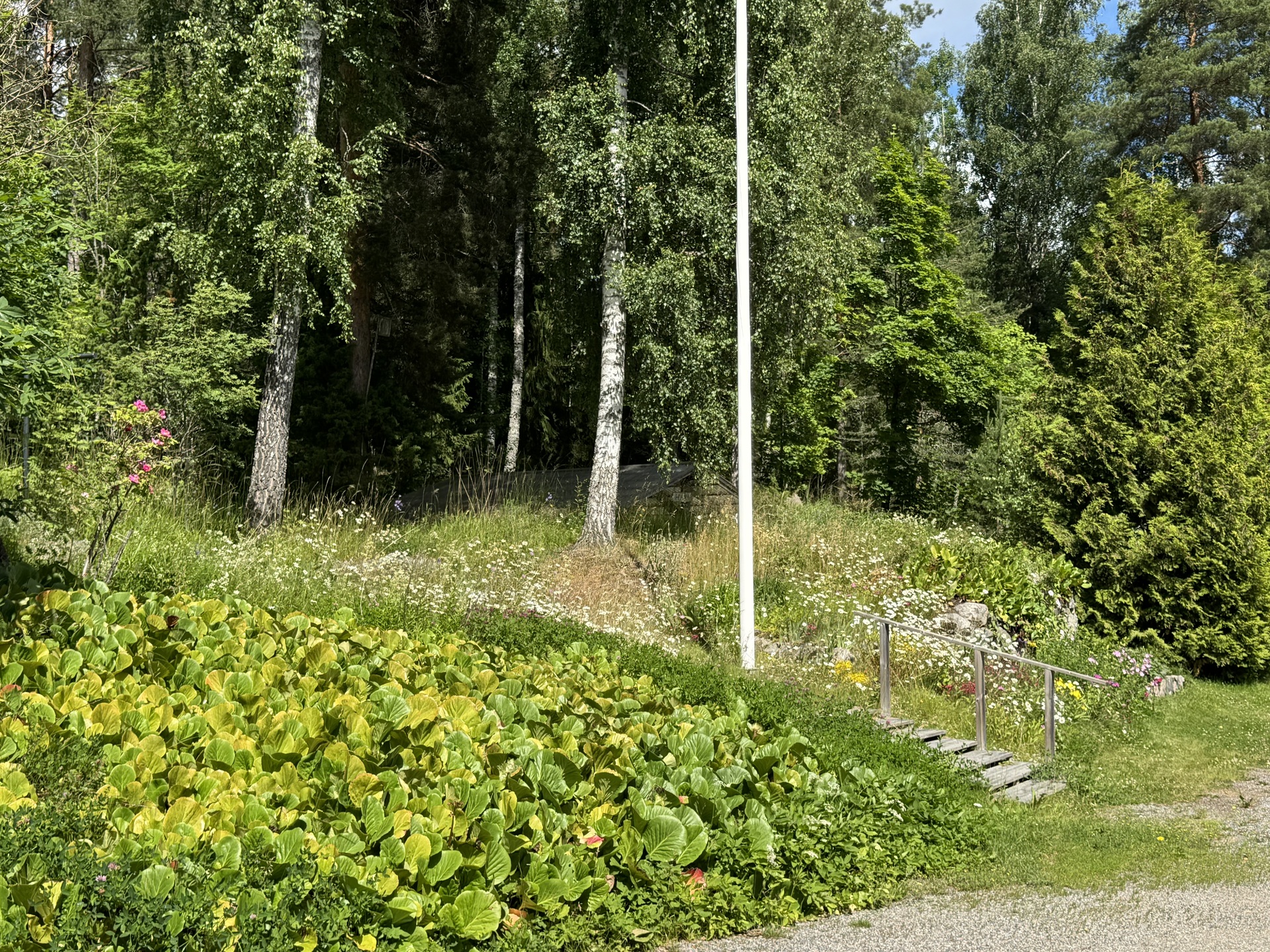 Hakatie 1, Pappila, Padasjoki