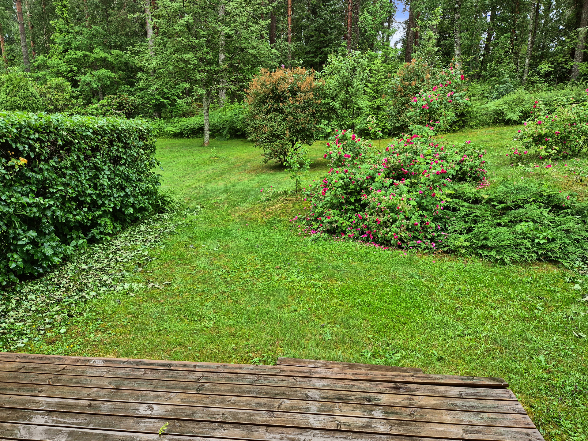 Rättiläntie 3, Nuijamaa, Lappeenranta