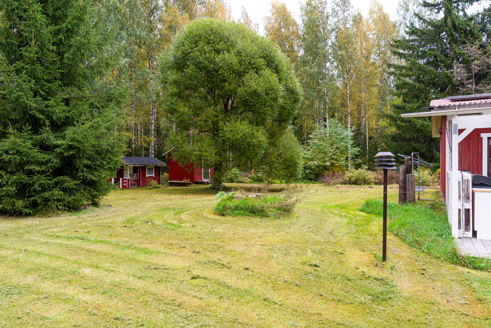 Pihaa