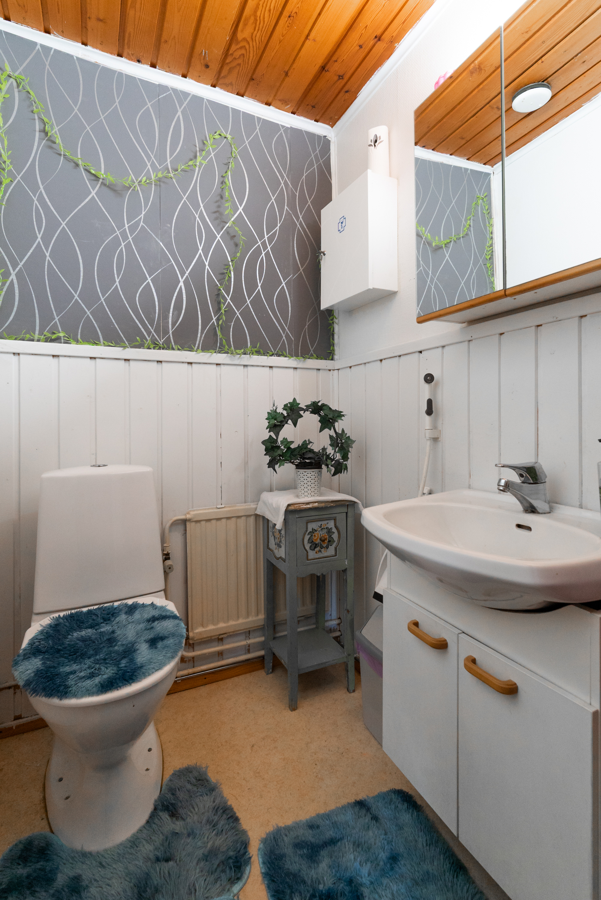Erillinen wc