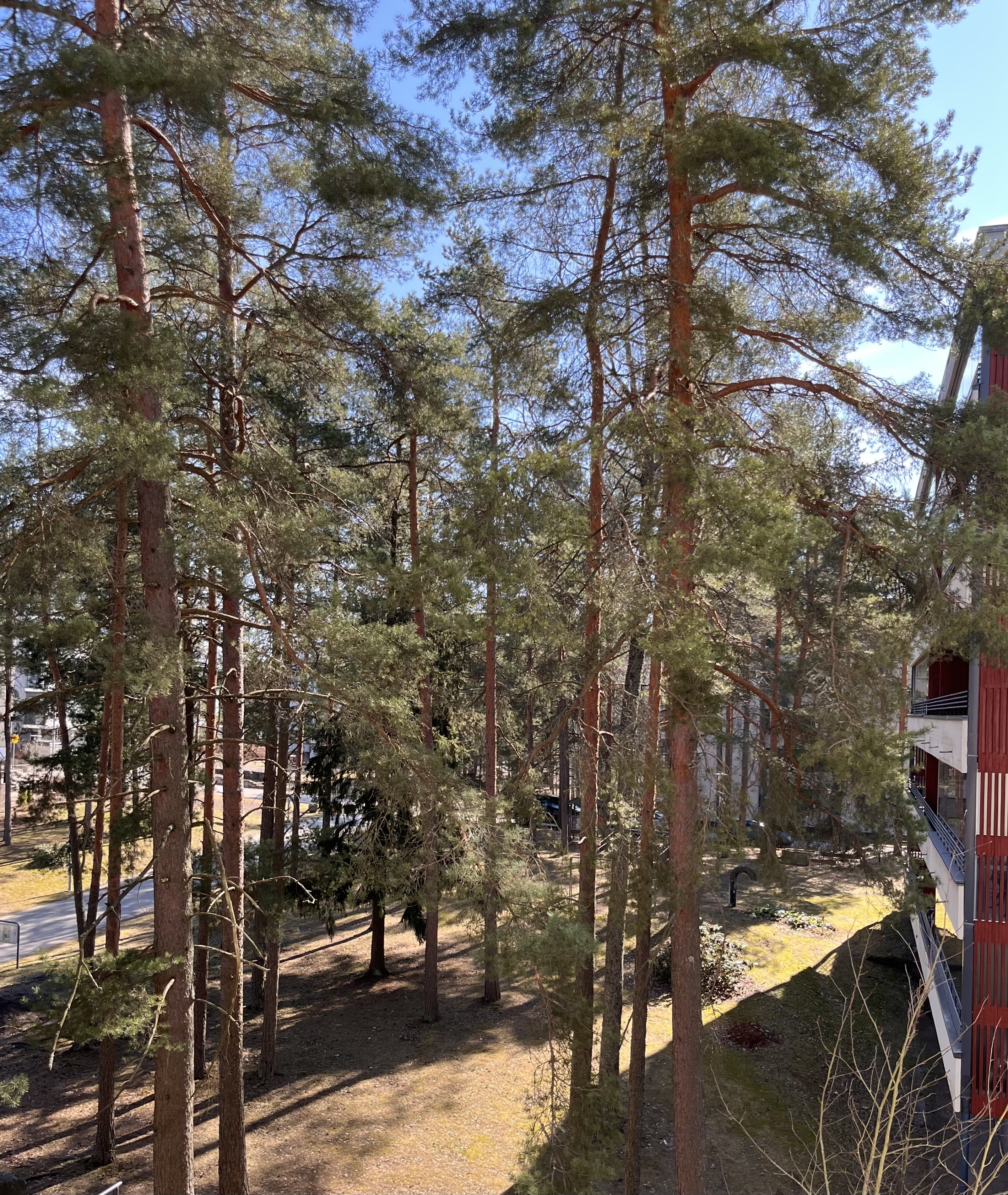 Maisema keittiön ikkunasta