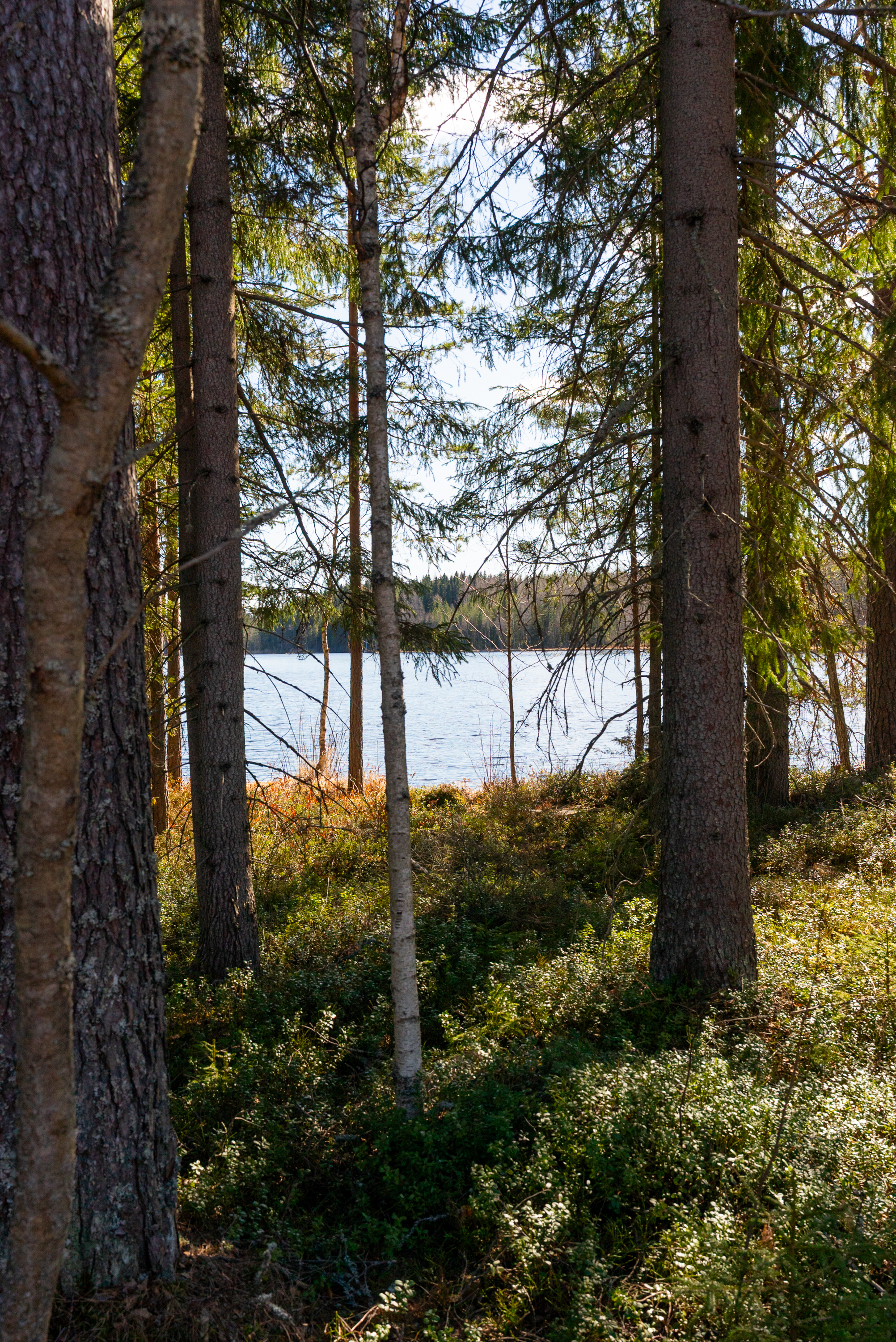 Varpasentie 63, Kangasniemi