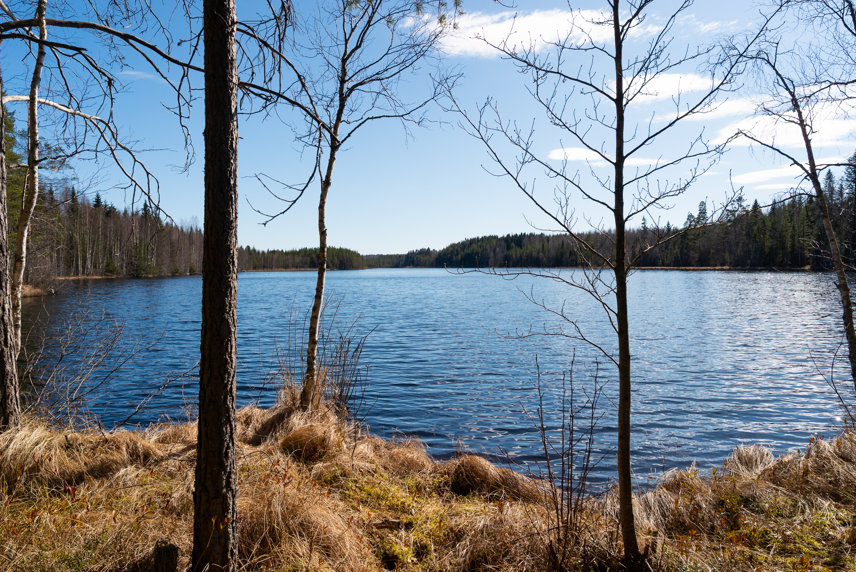 Varpasentie 63, Kangasniemi