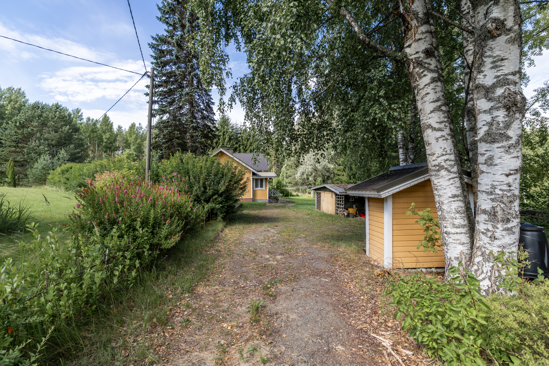 Ahotie 7, Vihikangas, Kangasniemi