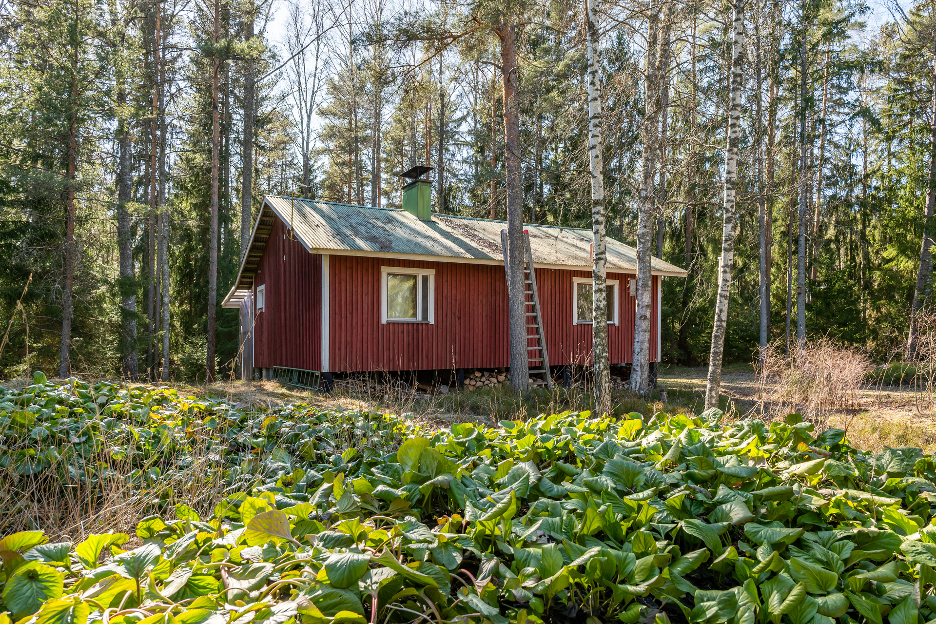 Torbackantie 219, Degerby, Inkoo