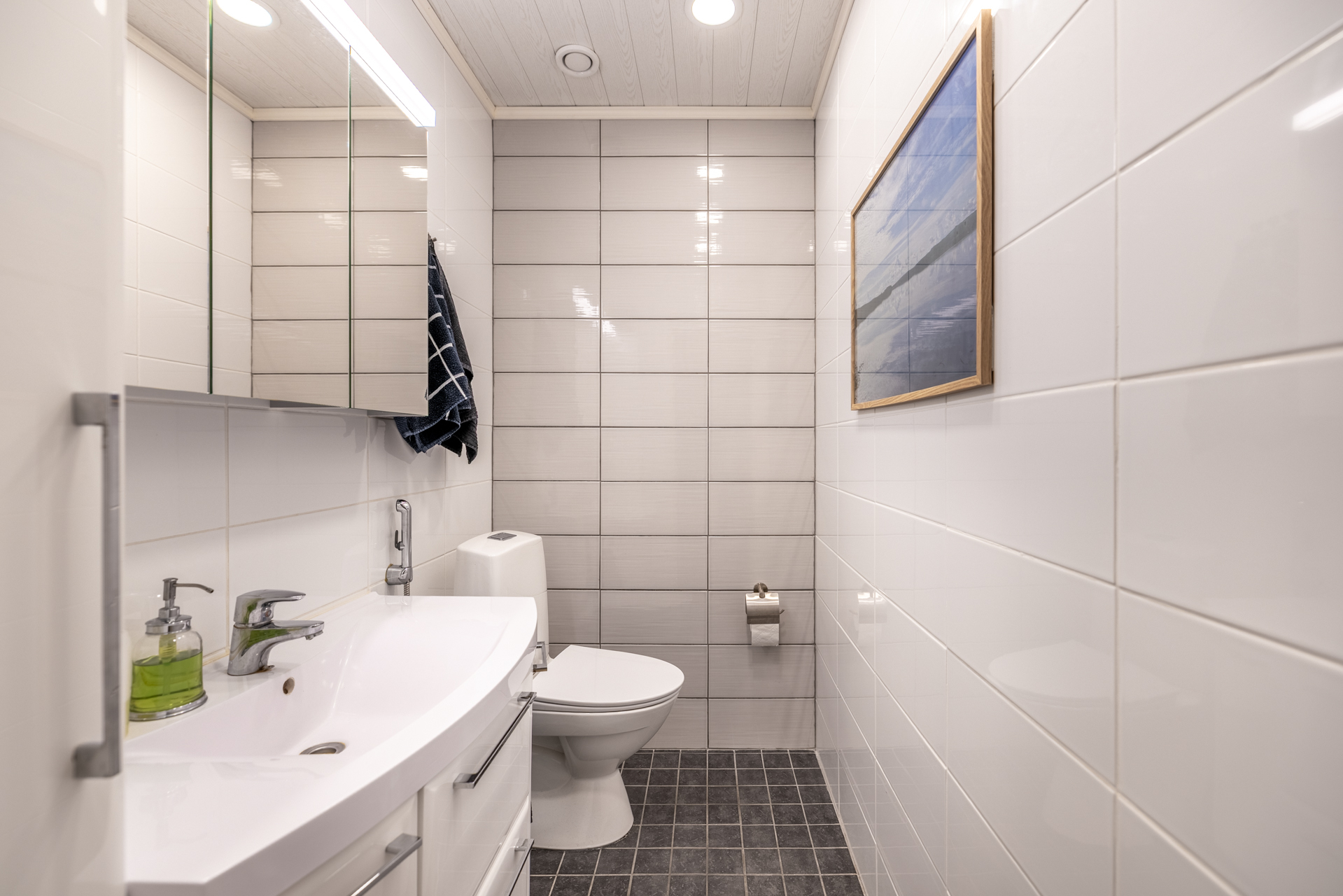 2017 remontoitu yläkerran wc