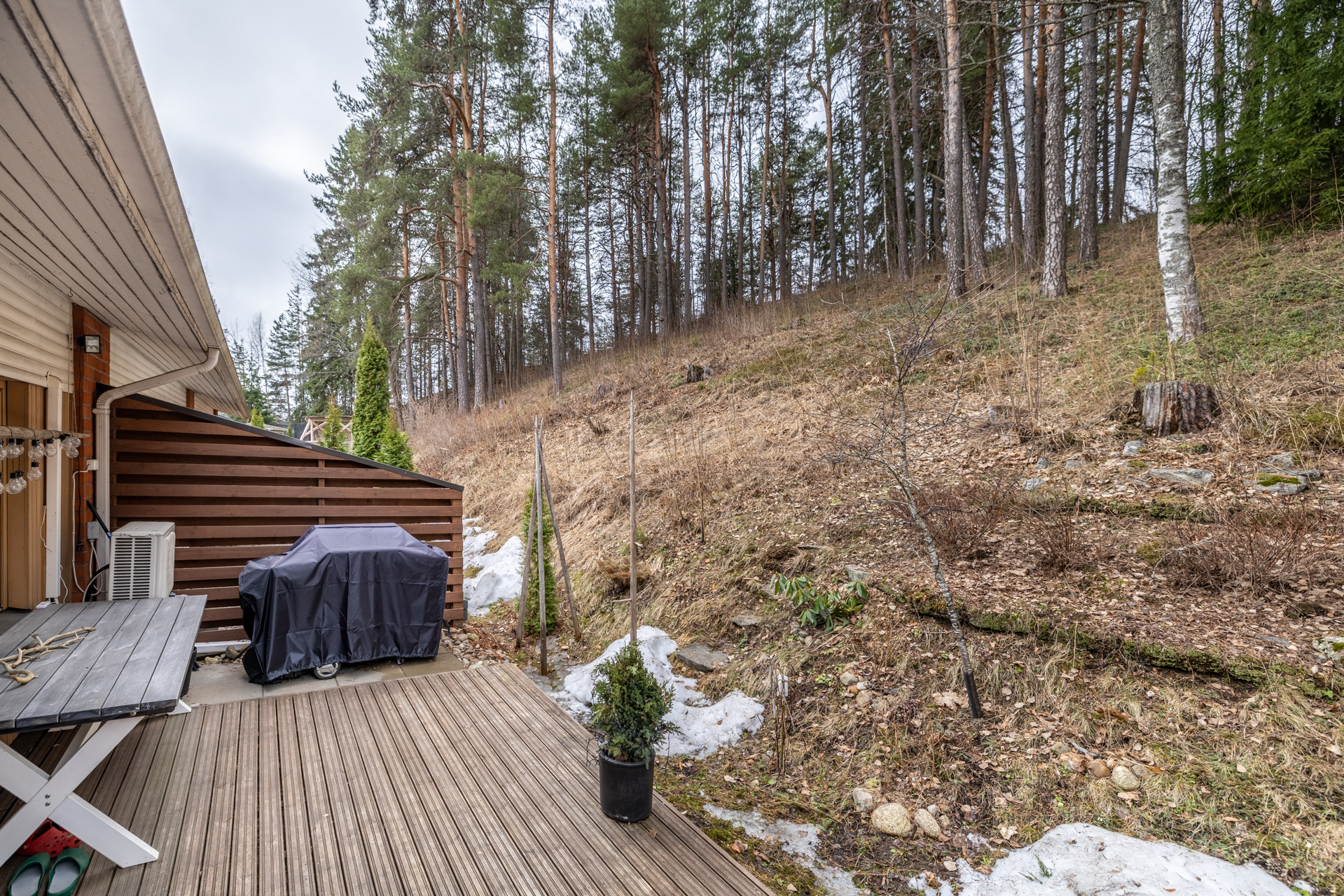 Terassilta aukeaa metsäinen maisema