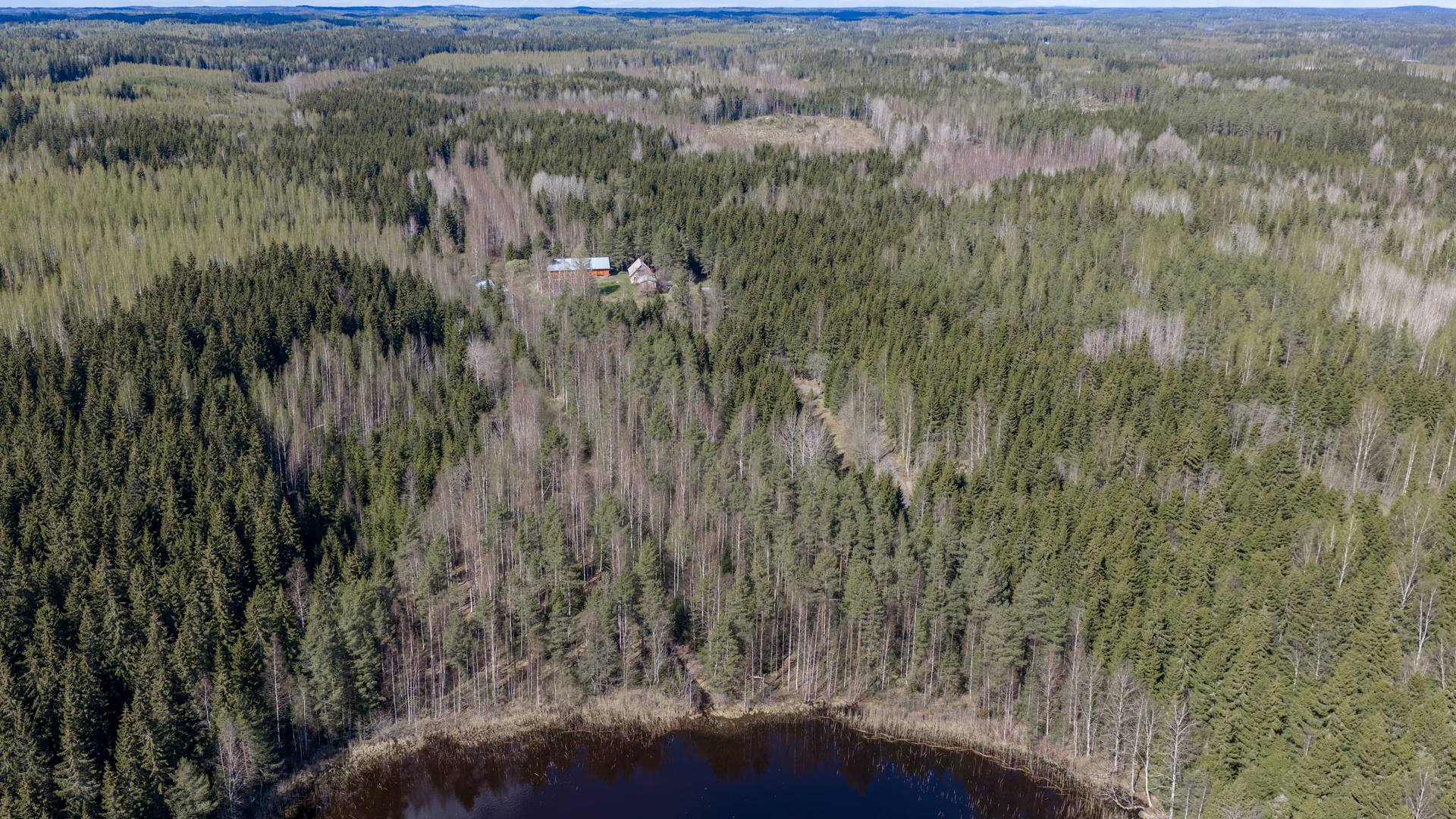 Noiniementie 8, Majavesi, Mikkeli
