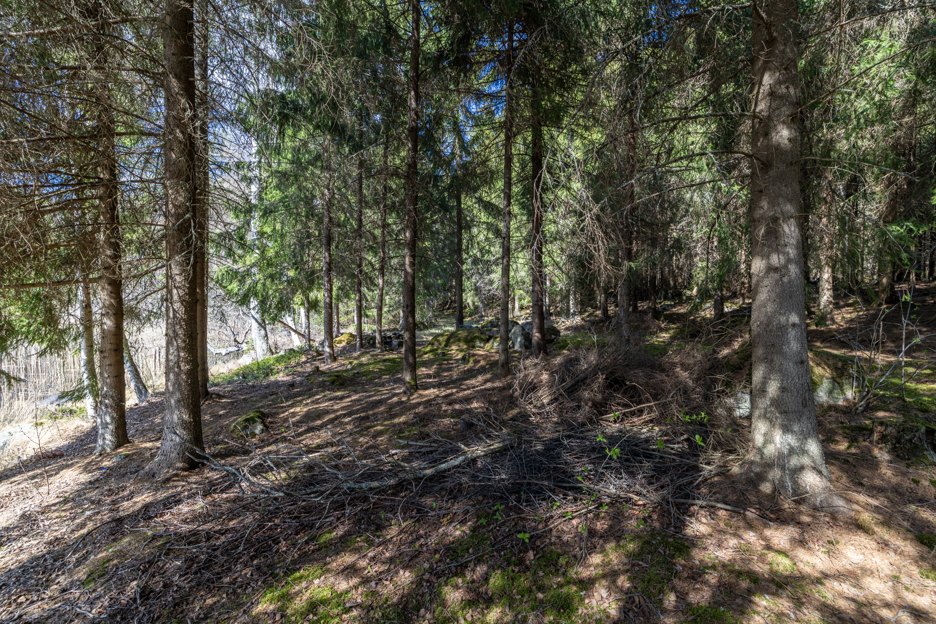 Noiniementie 8, Majavesi, Mikkeli