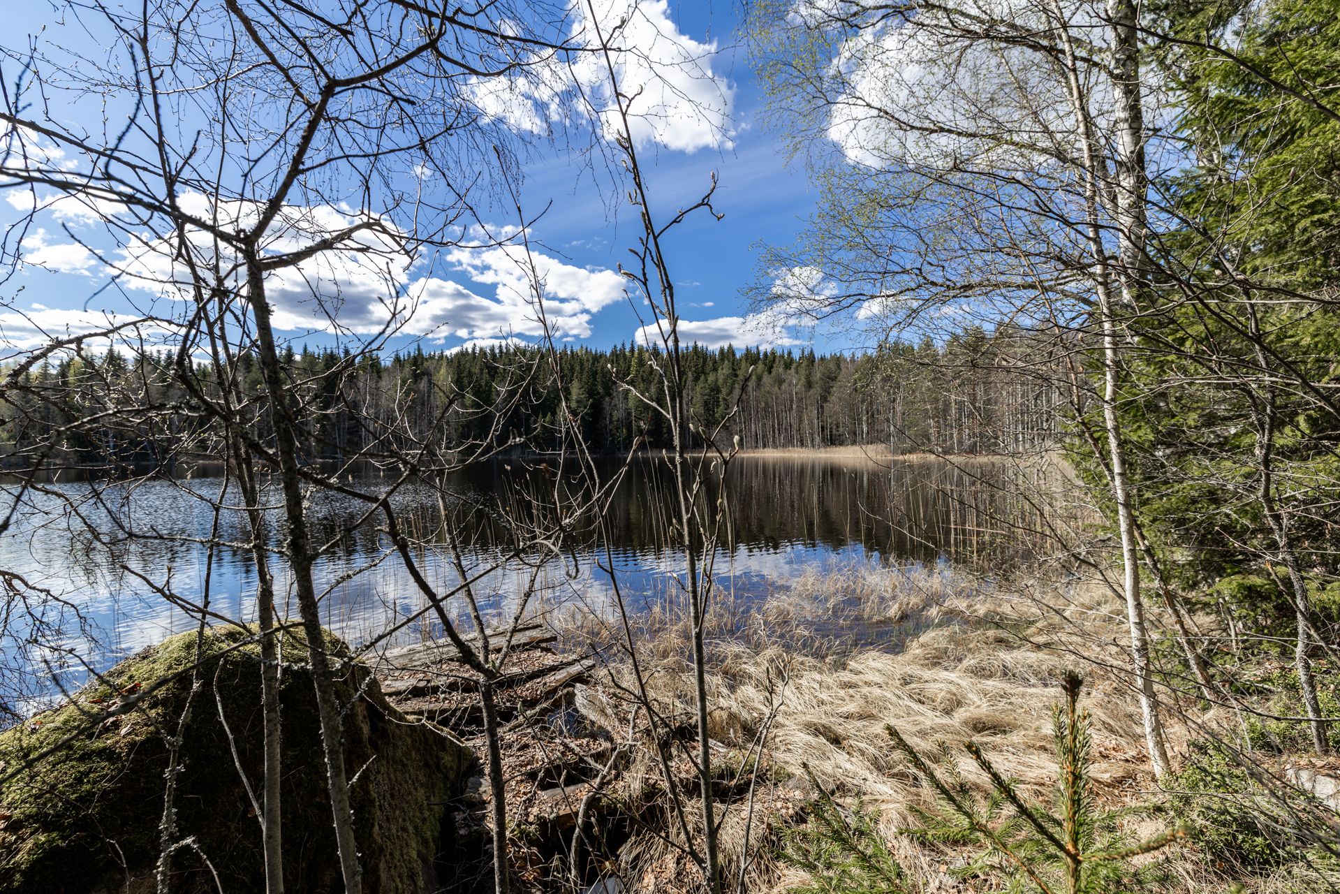 Noiniementie 8, Majavesi, Mikkeli