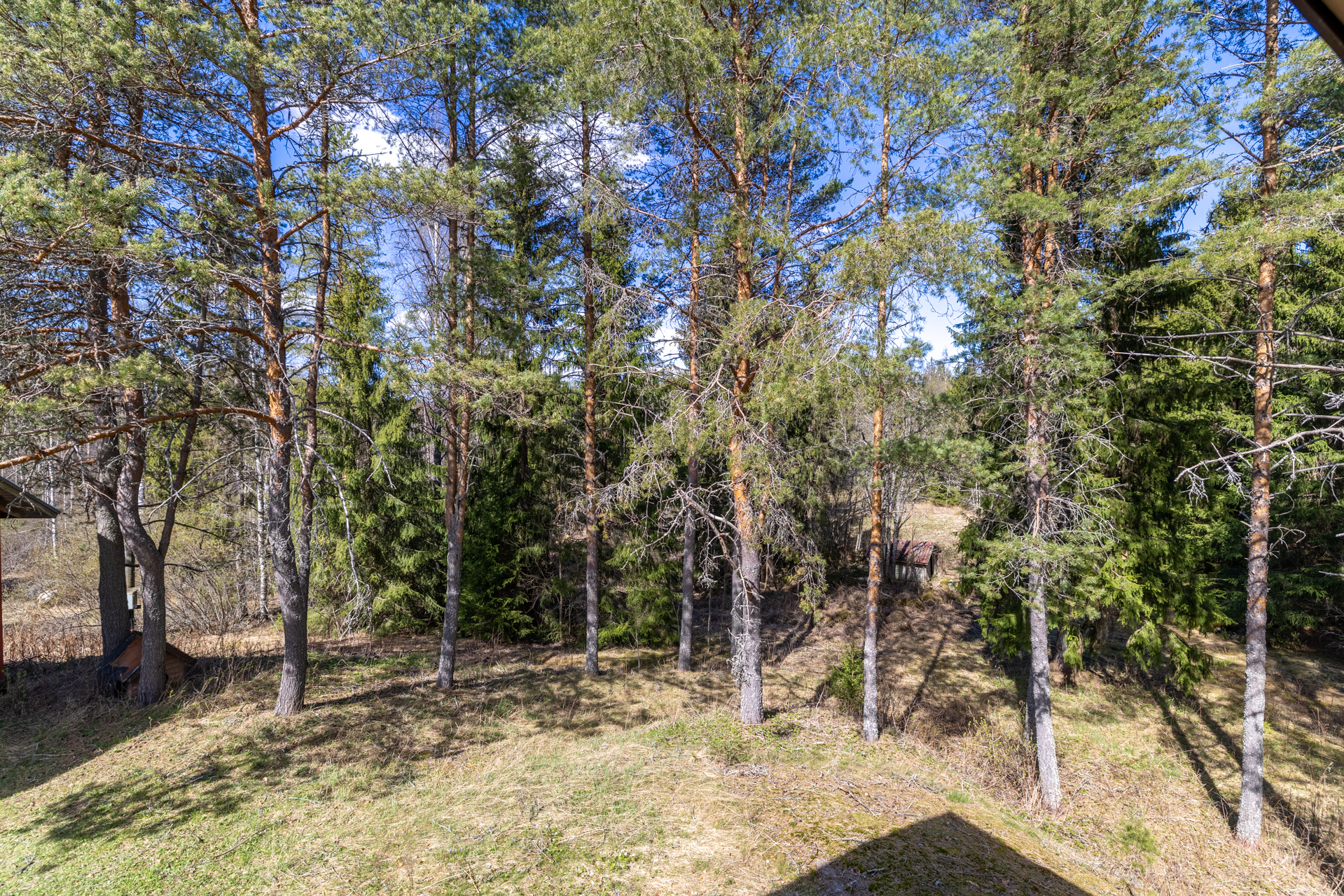 Noiniementie 8, Majavesi, Mikkeli