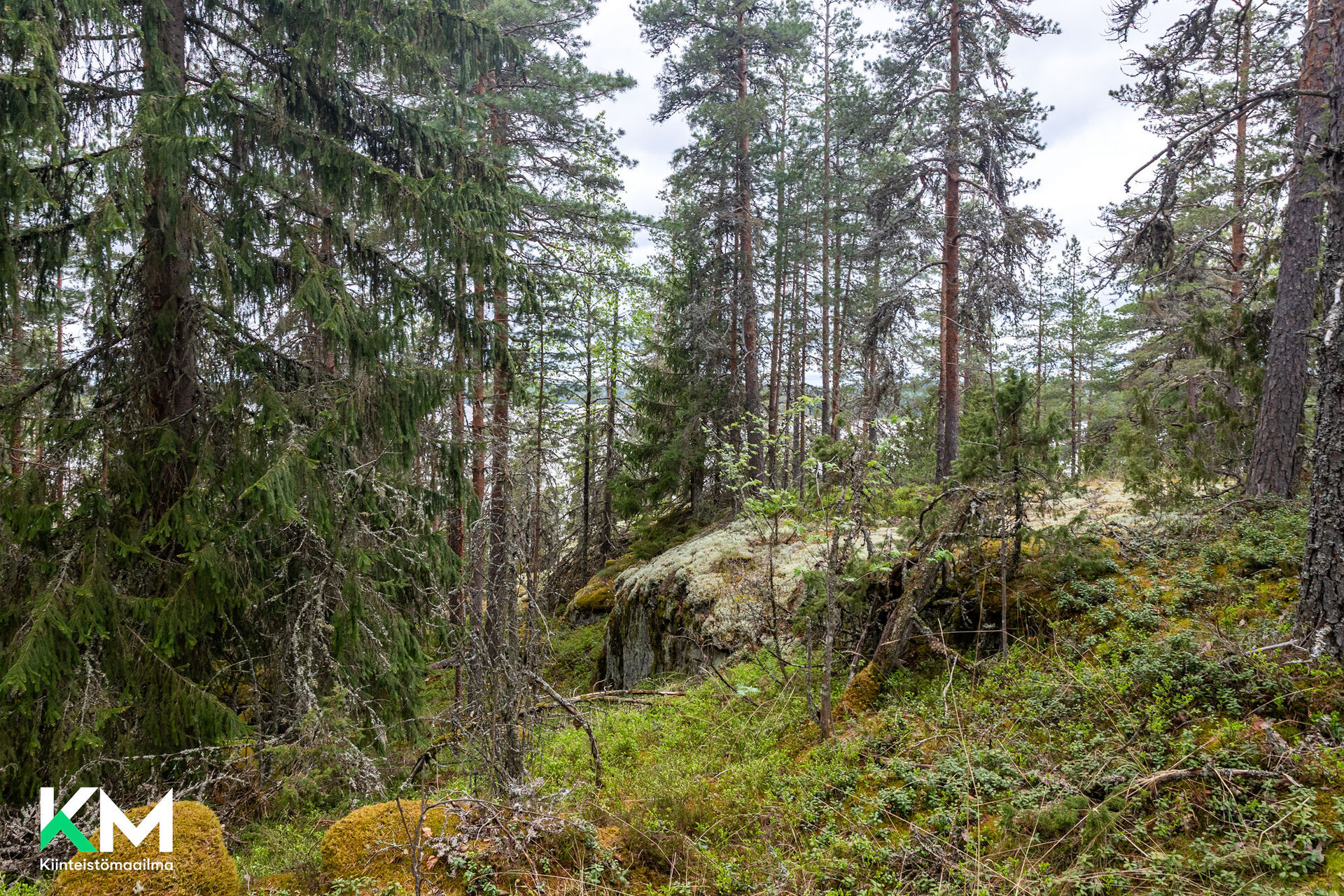 Hentiönsuuntie 106a, Artjärvi, Orimattila