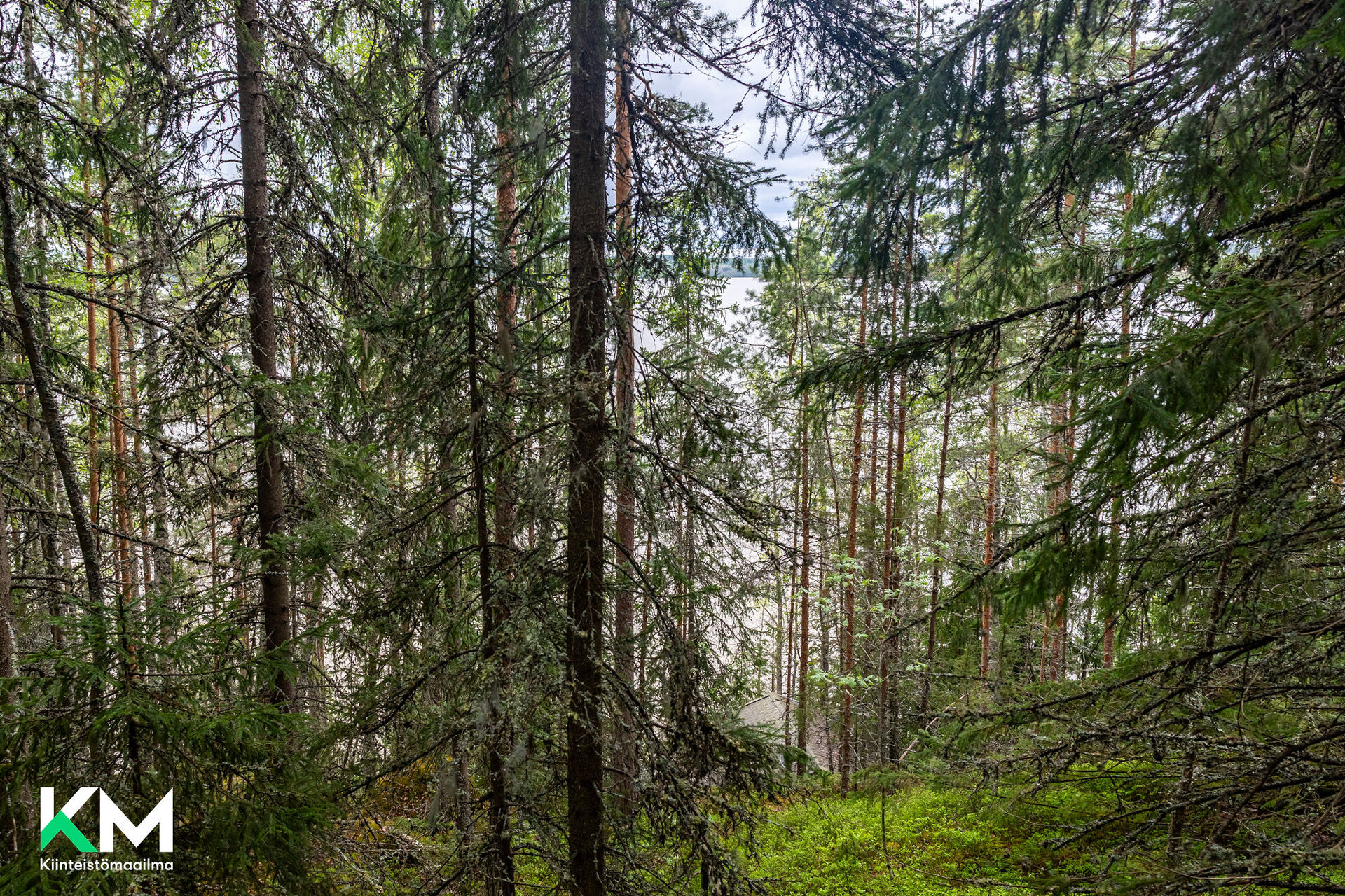 Hentiönsuuntie 106a, Artjärvi, Orimattila