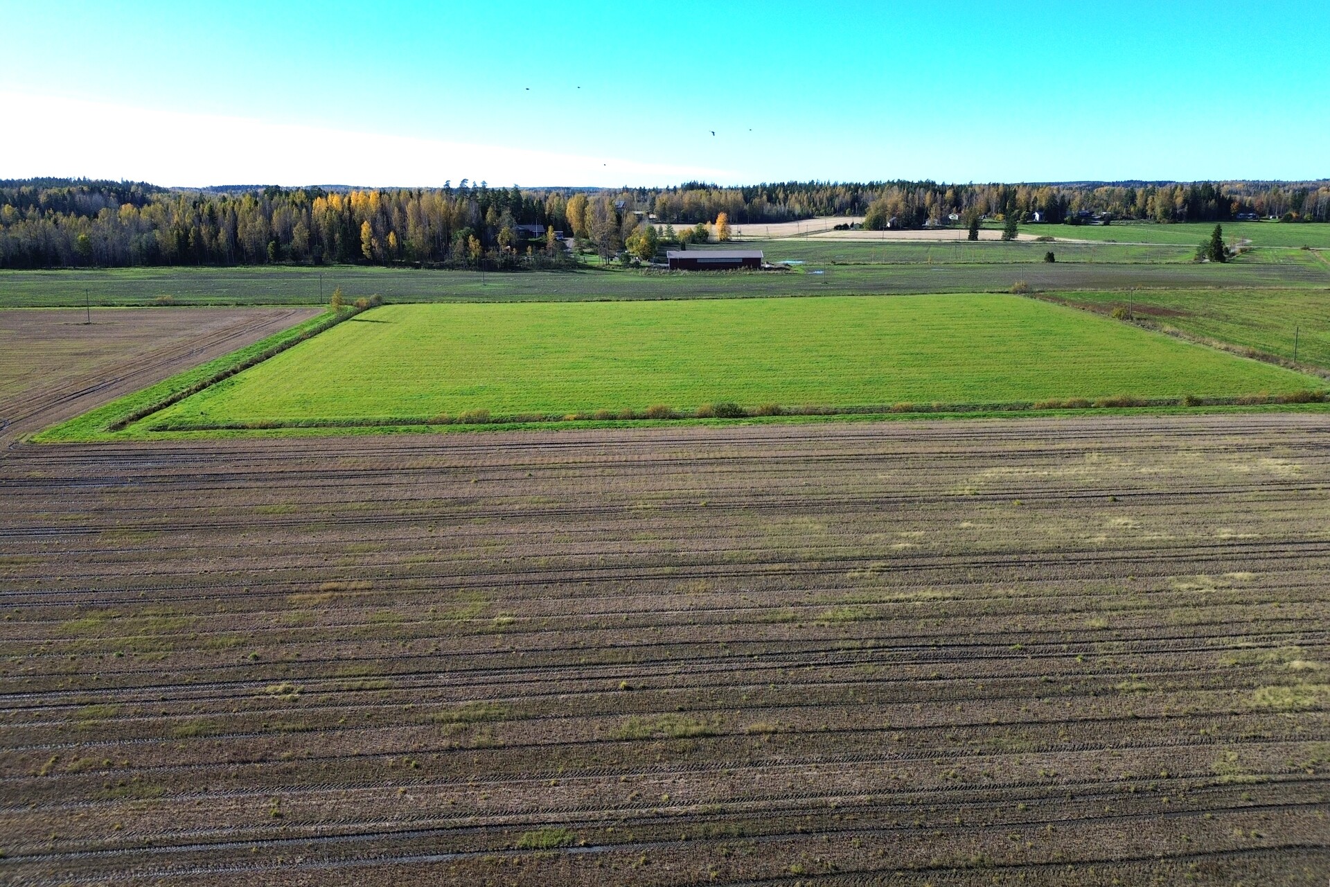 Lonkerontie, Nuppulinna, Tuusula