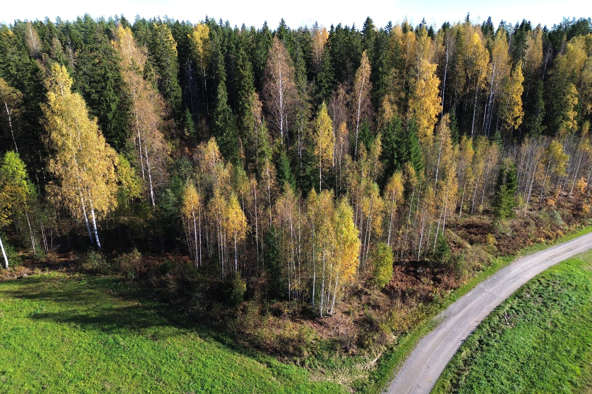 Lonkerontie, Nuppulinna, Tuusula