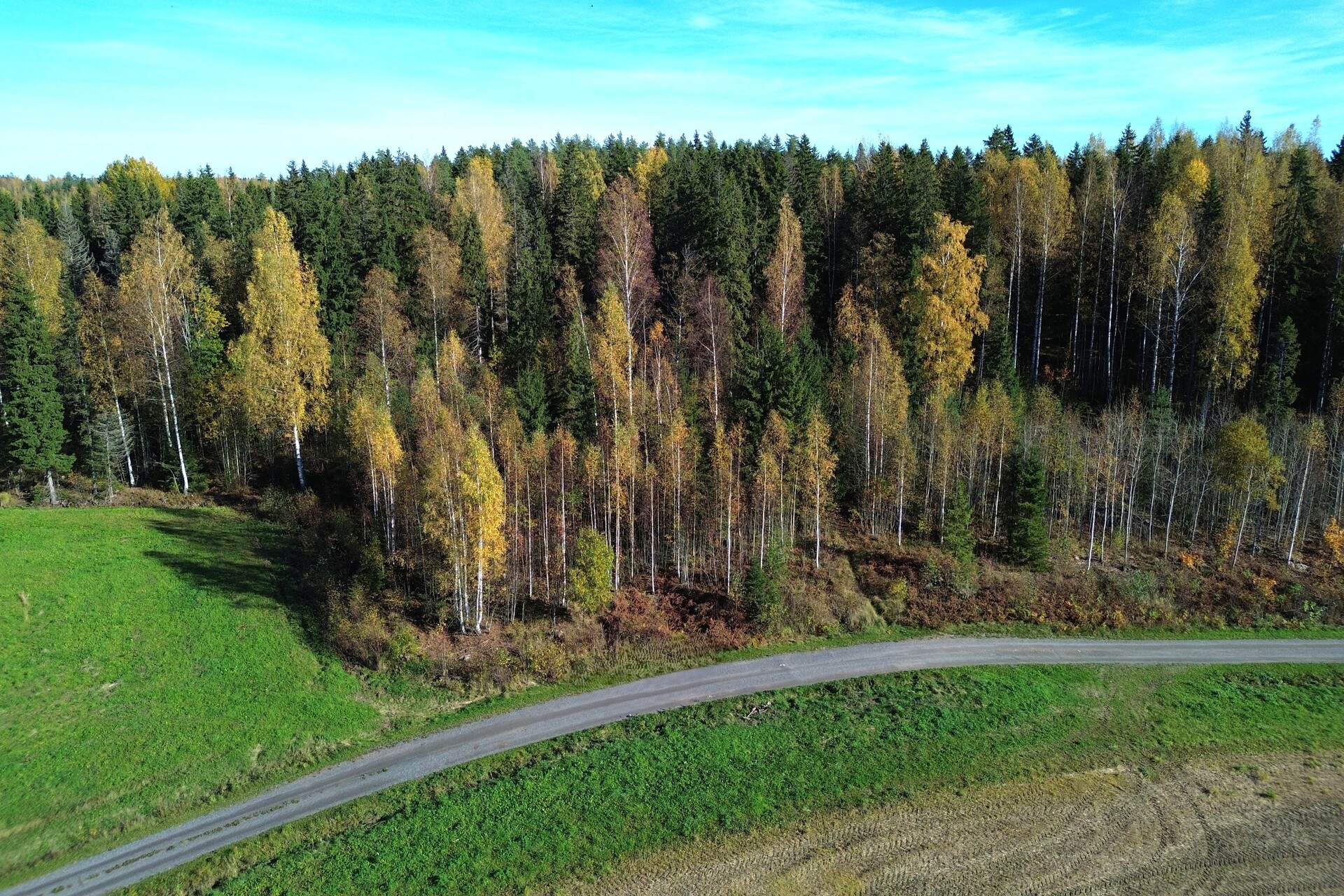 Lonkerontie, Nuppulinna, Tuusula
