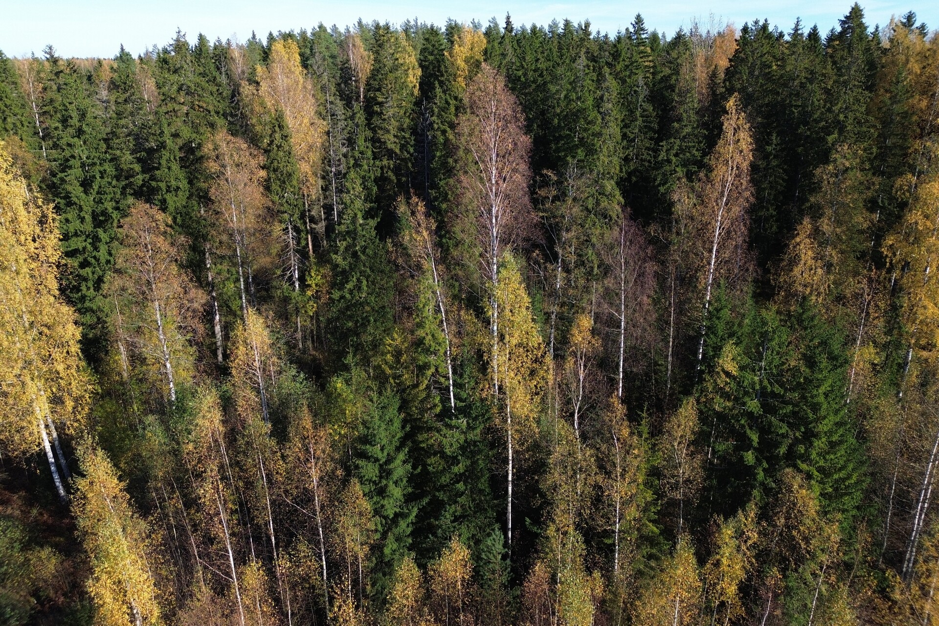 Lonkerontie, Nuppulinna, Tuusula