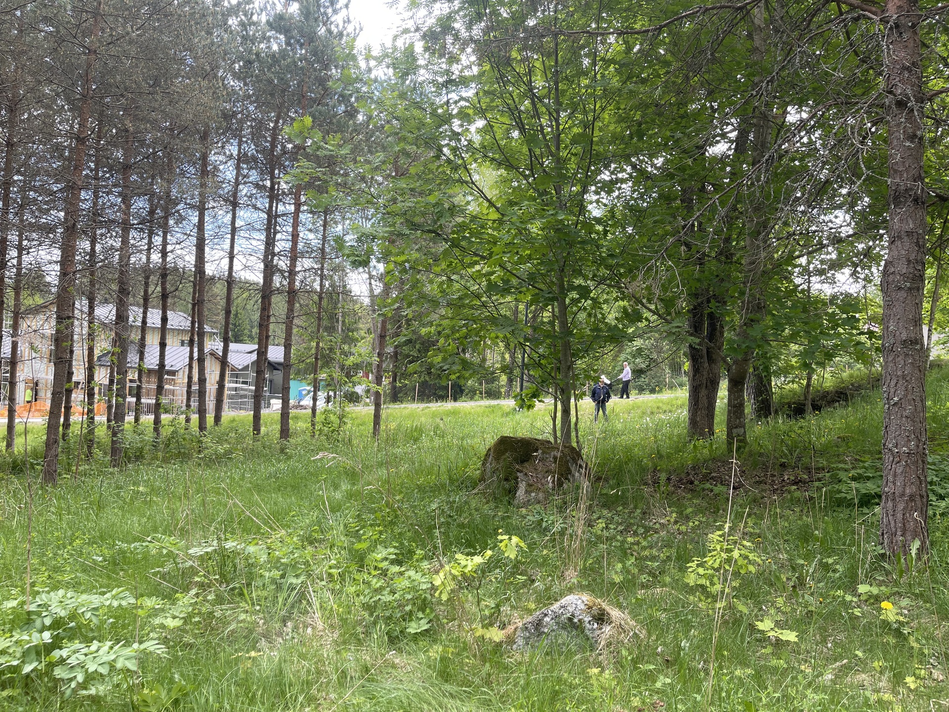 Viulunrakentajantie 2, Heikkilä, Kirkkonummi