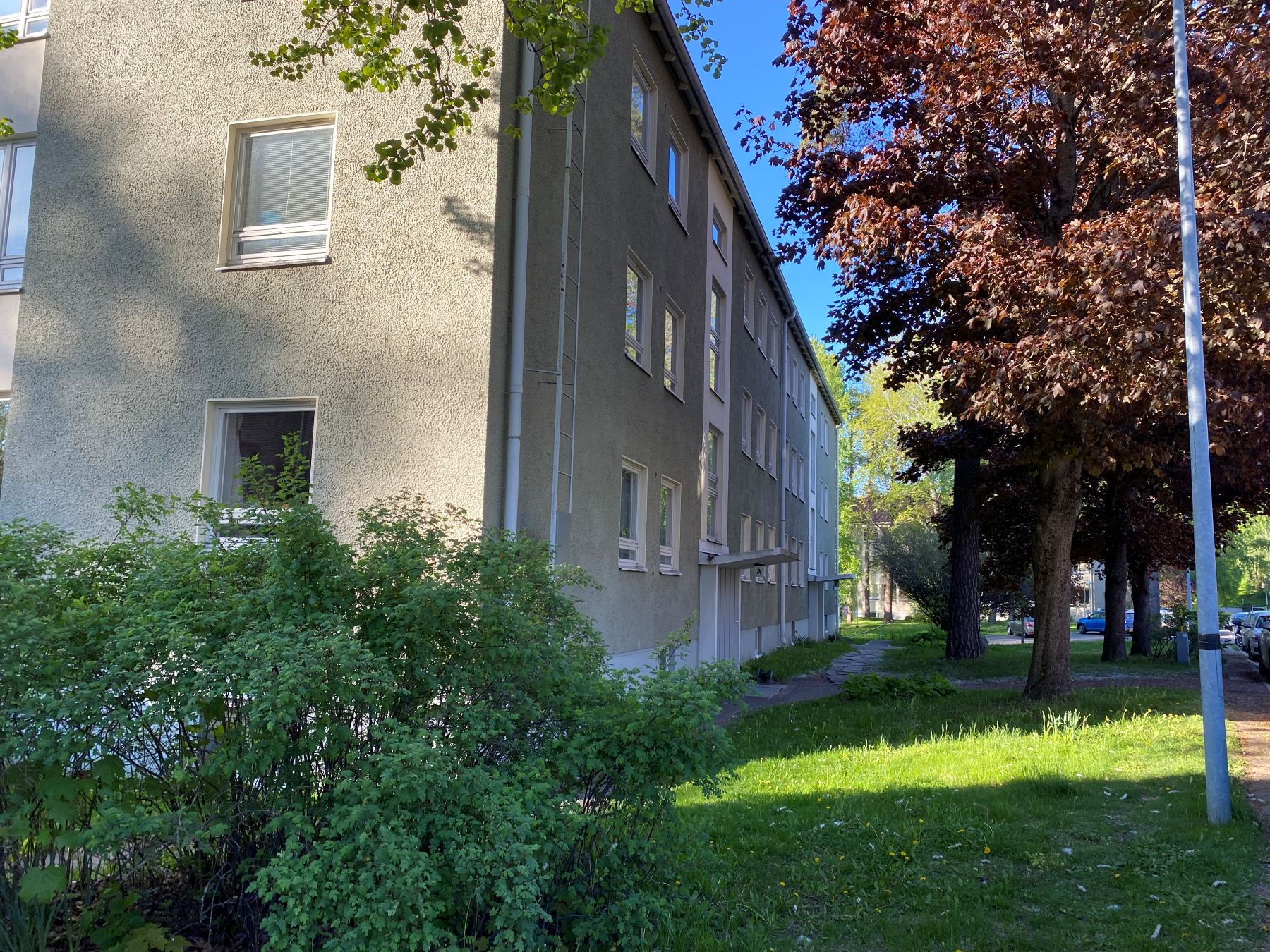 Töyrytie 8 vehreä pihapiiri
