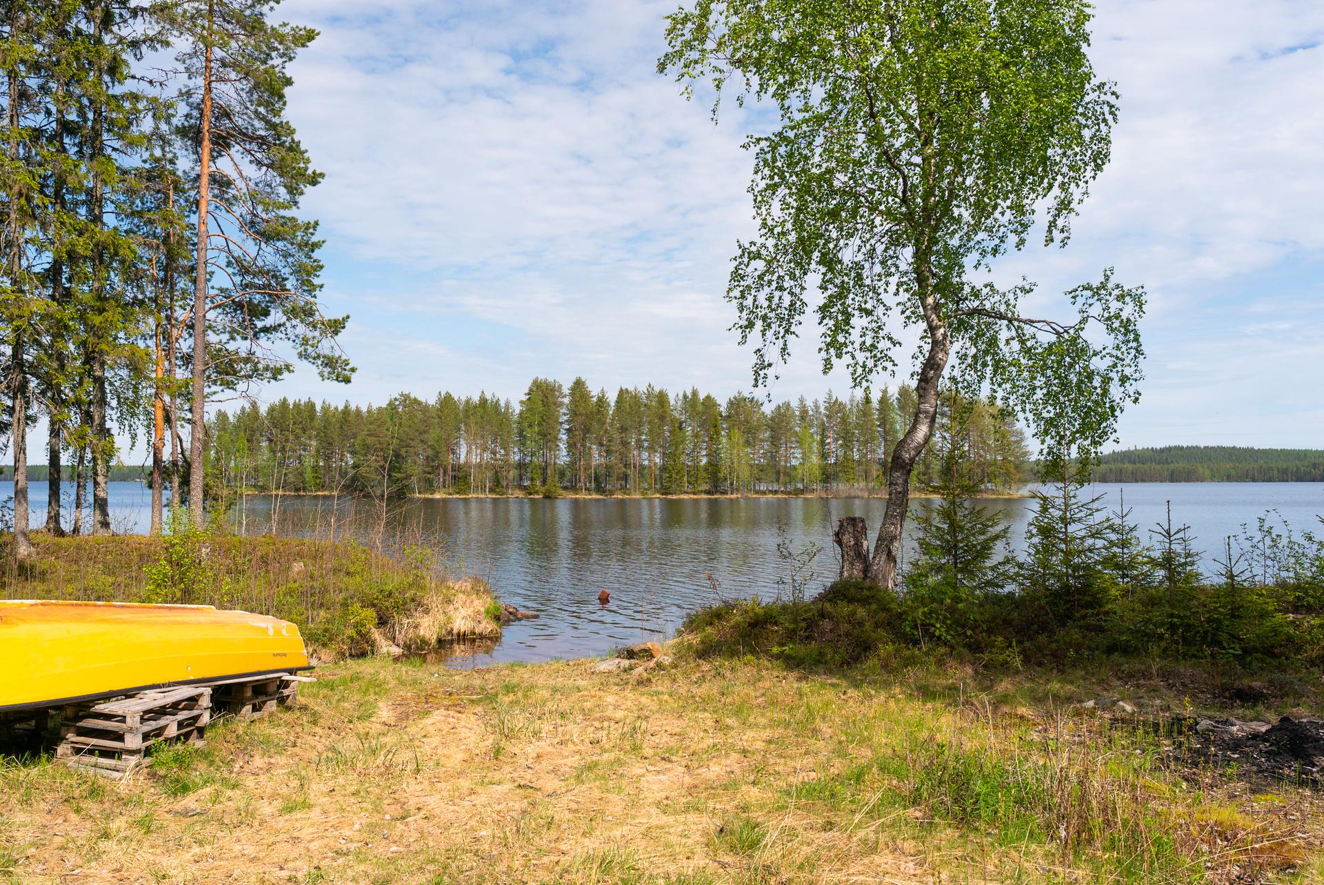 Kolkuntie 1260a, Kolkku, Viitasaari