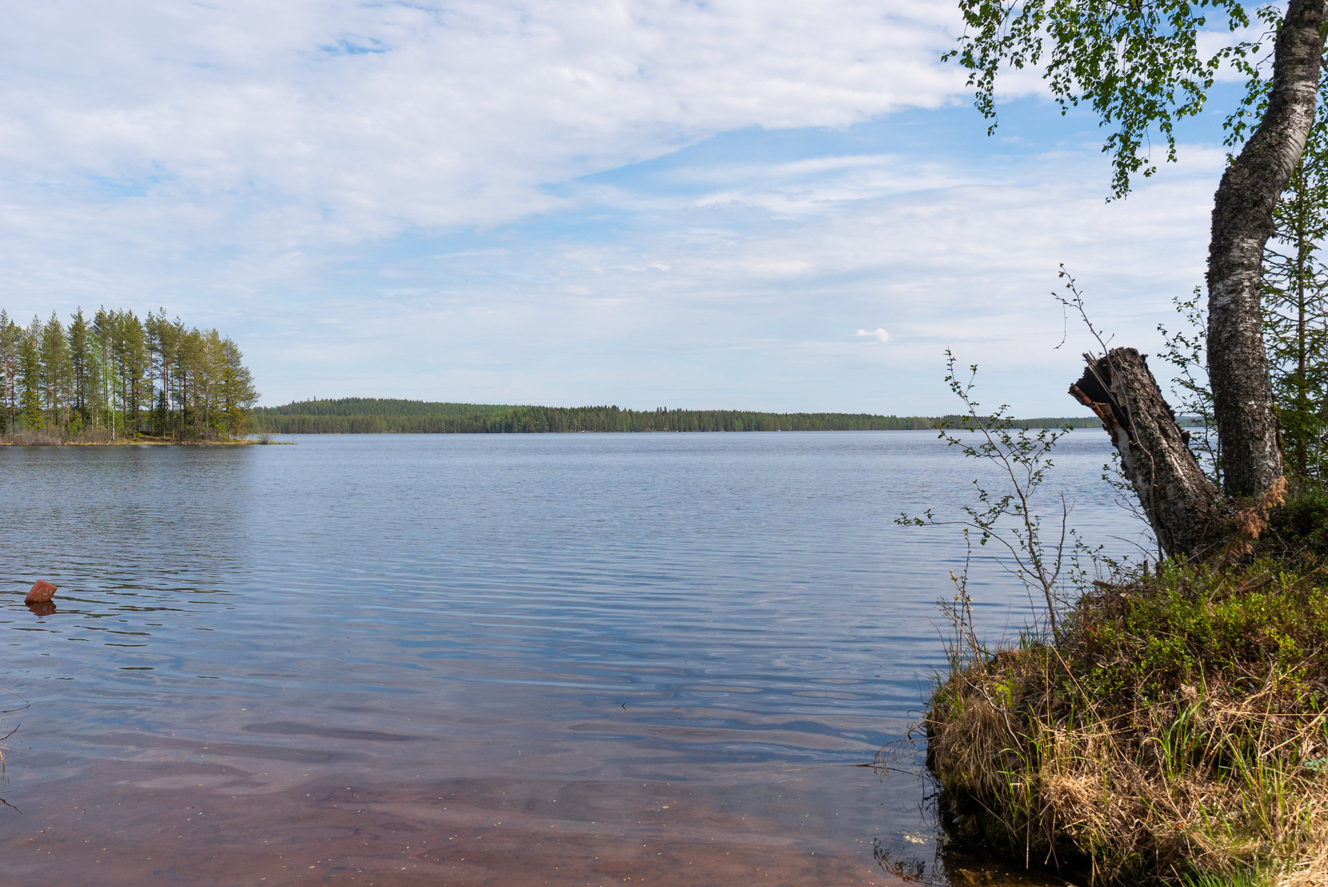 Kolkuntie 1260a, Kolkku, Viitasaari