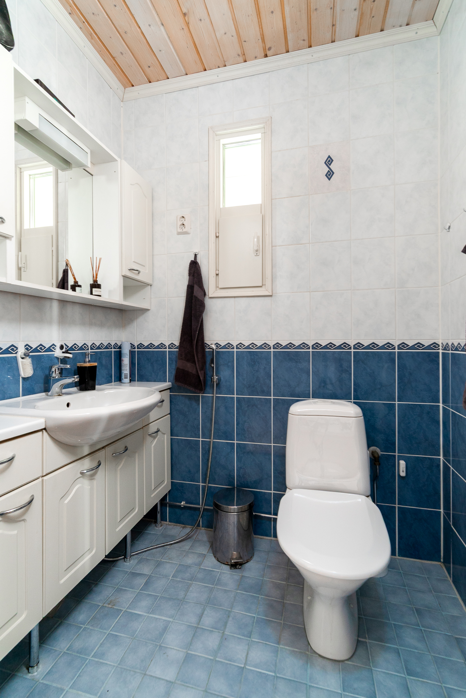 Erillinen wc