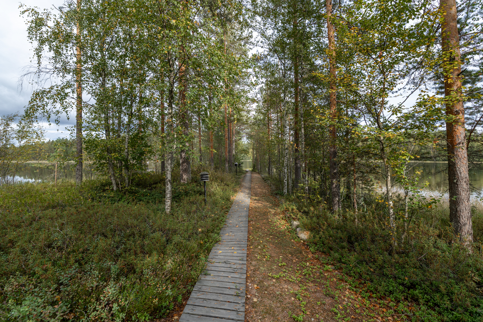 Niittulammentie 197, Halmeniemi, Mäntyharju
