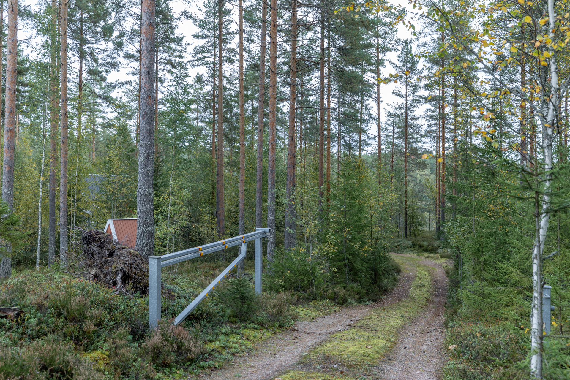Niittulammentie 197, Halmeniemi, Mäntyharju