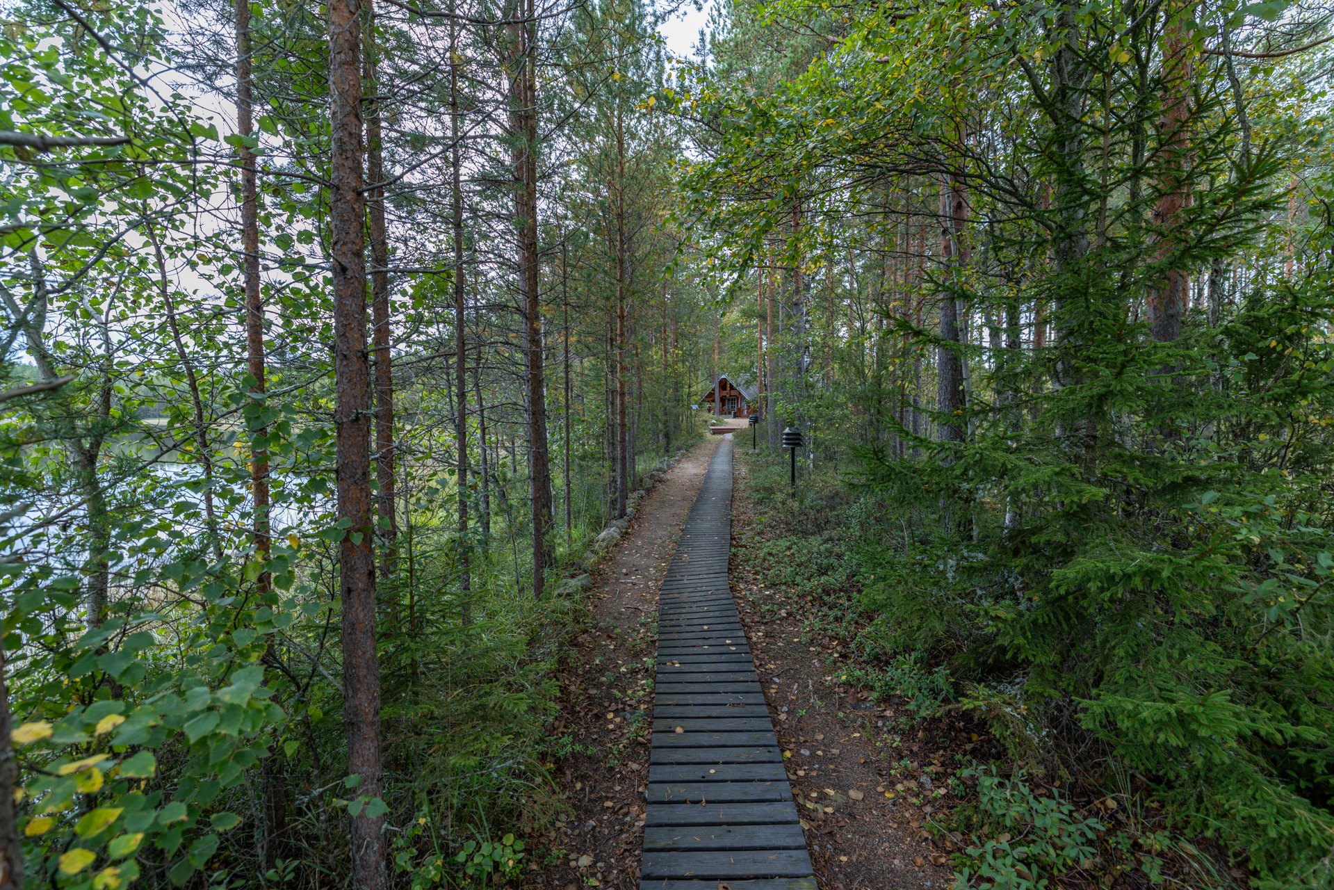 Niittulammentie 197, Halmeniemi, Mäntyharju