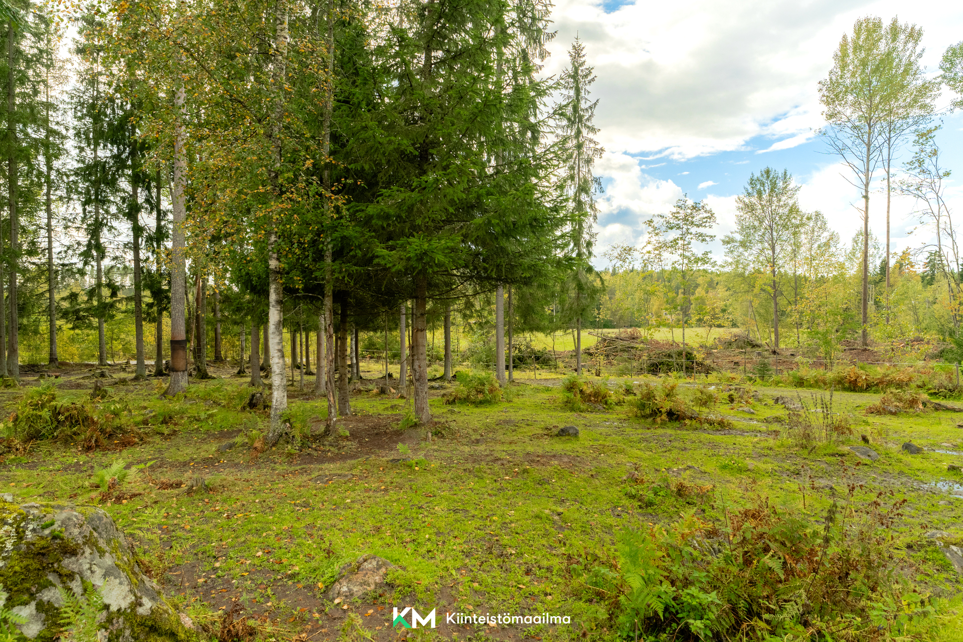 Tuohikengäntie 196, Otalampi, Vihti