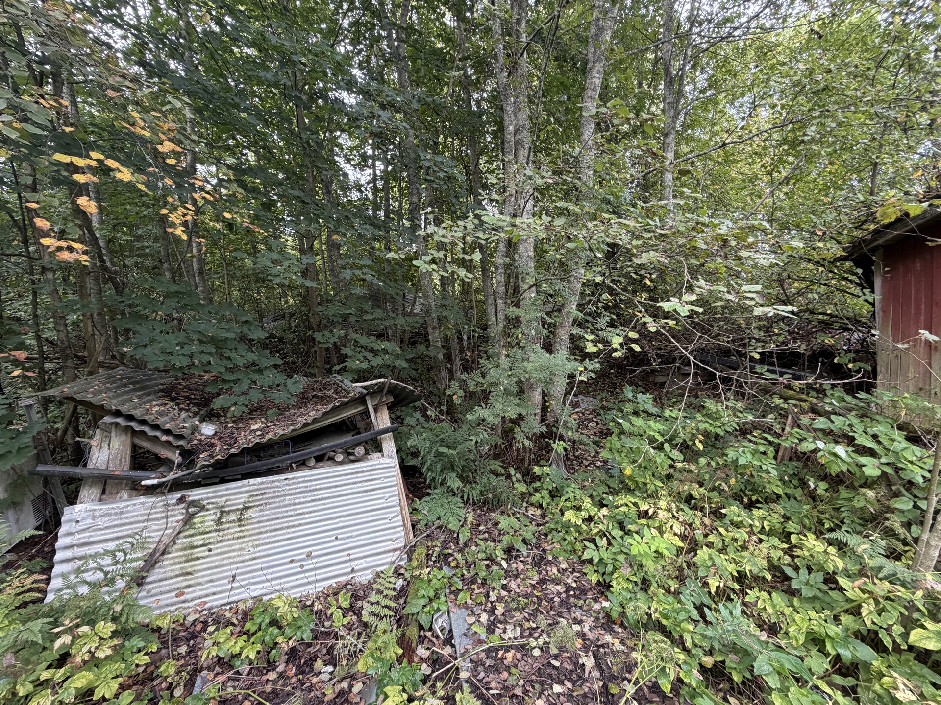 Rengonraitti 8, Renko, Hämeenlinna