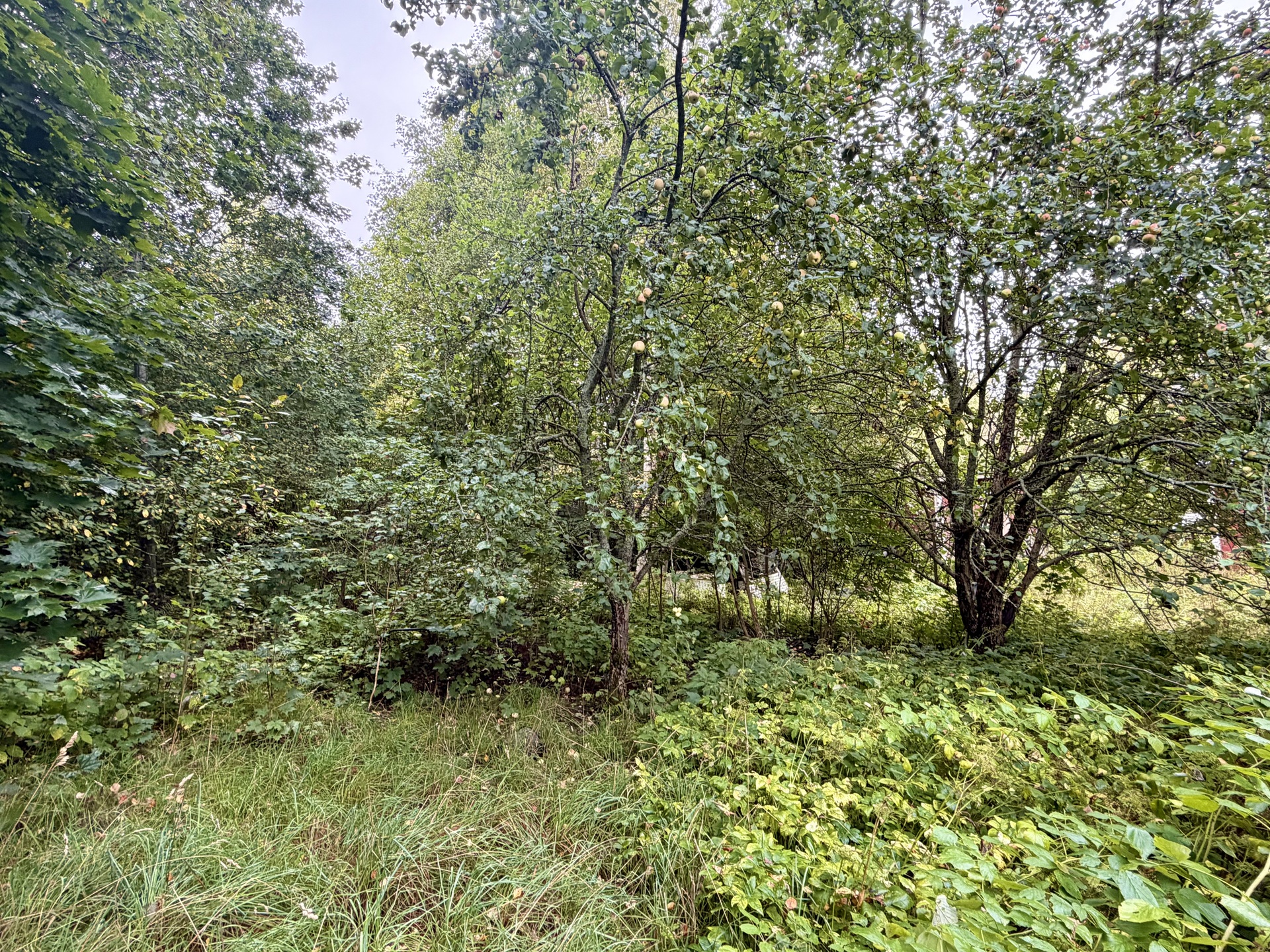 Rengonraitti 8, Renko, Hämeenlinna