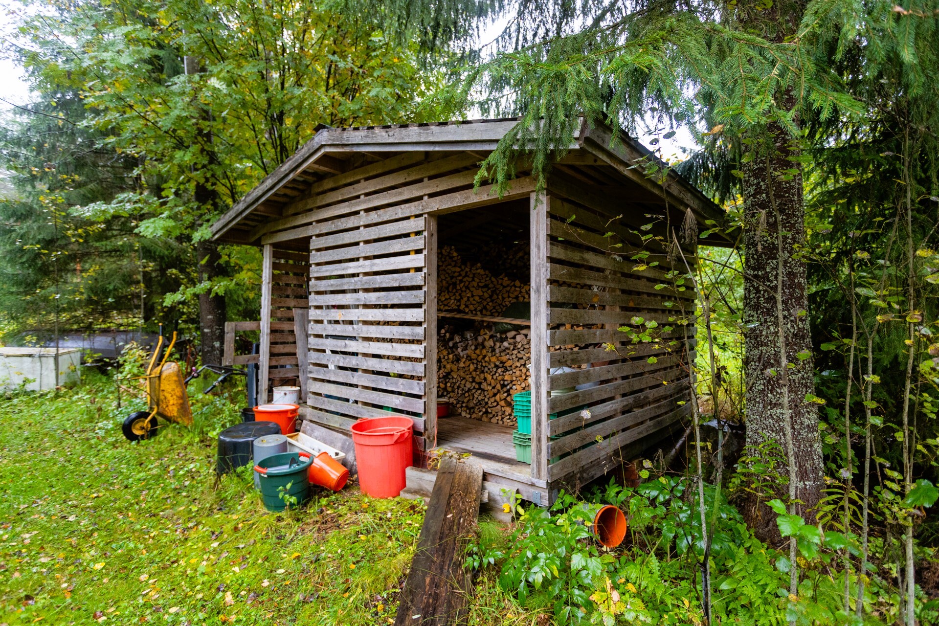 Puuvaja