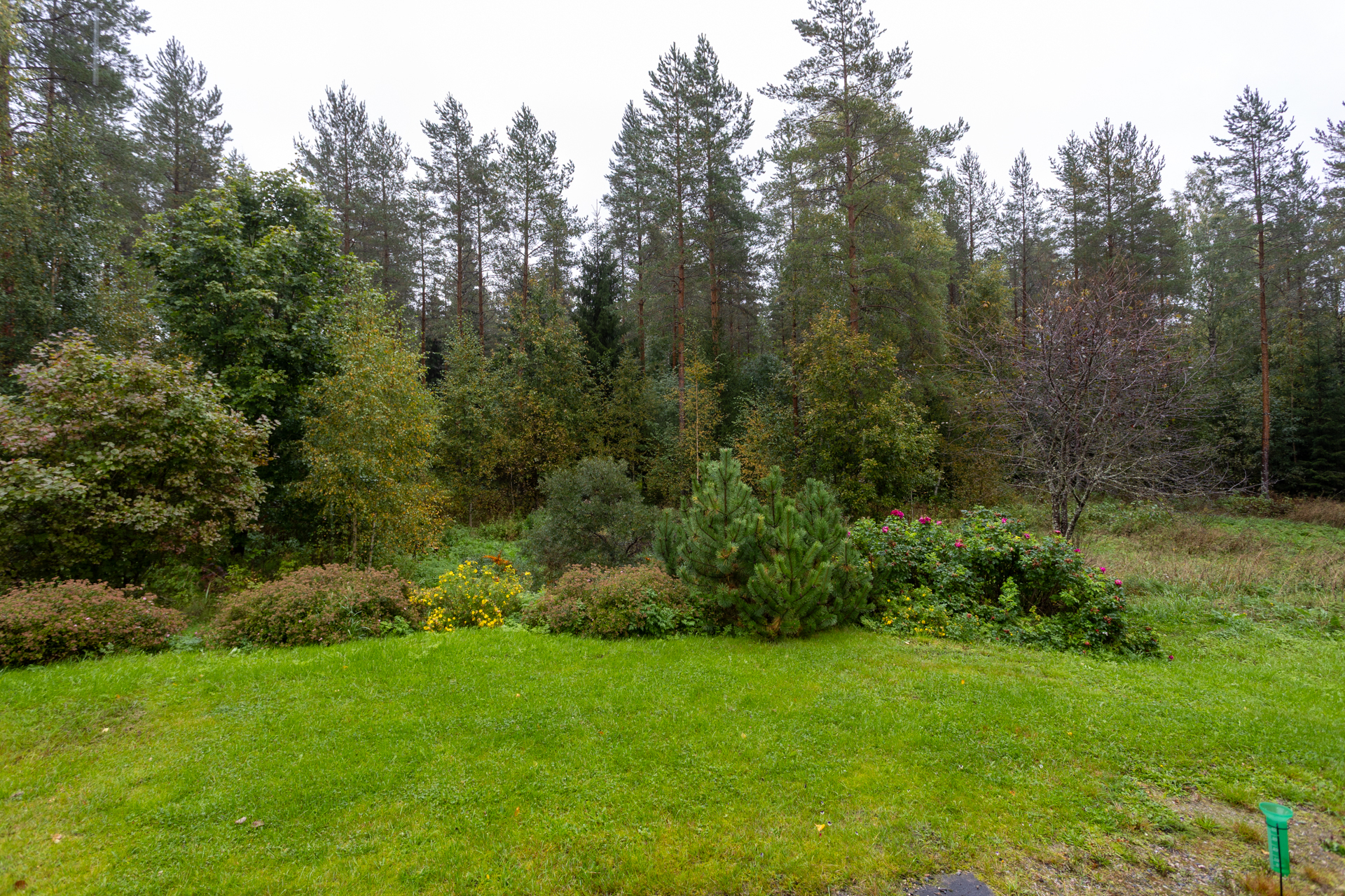 Multikankaantie 16, Varislahti, Outokumpu