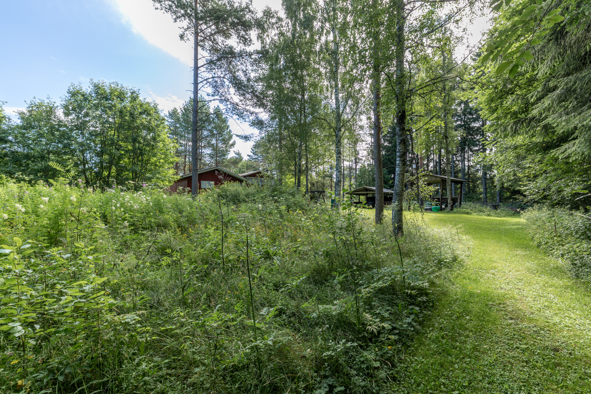 Pajulantie 4, Harjumaa, Mikkeli