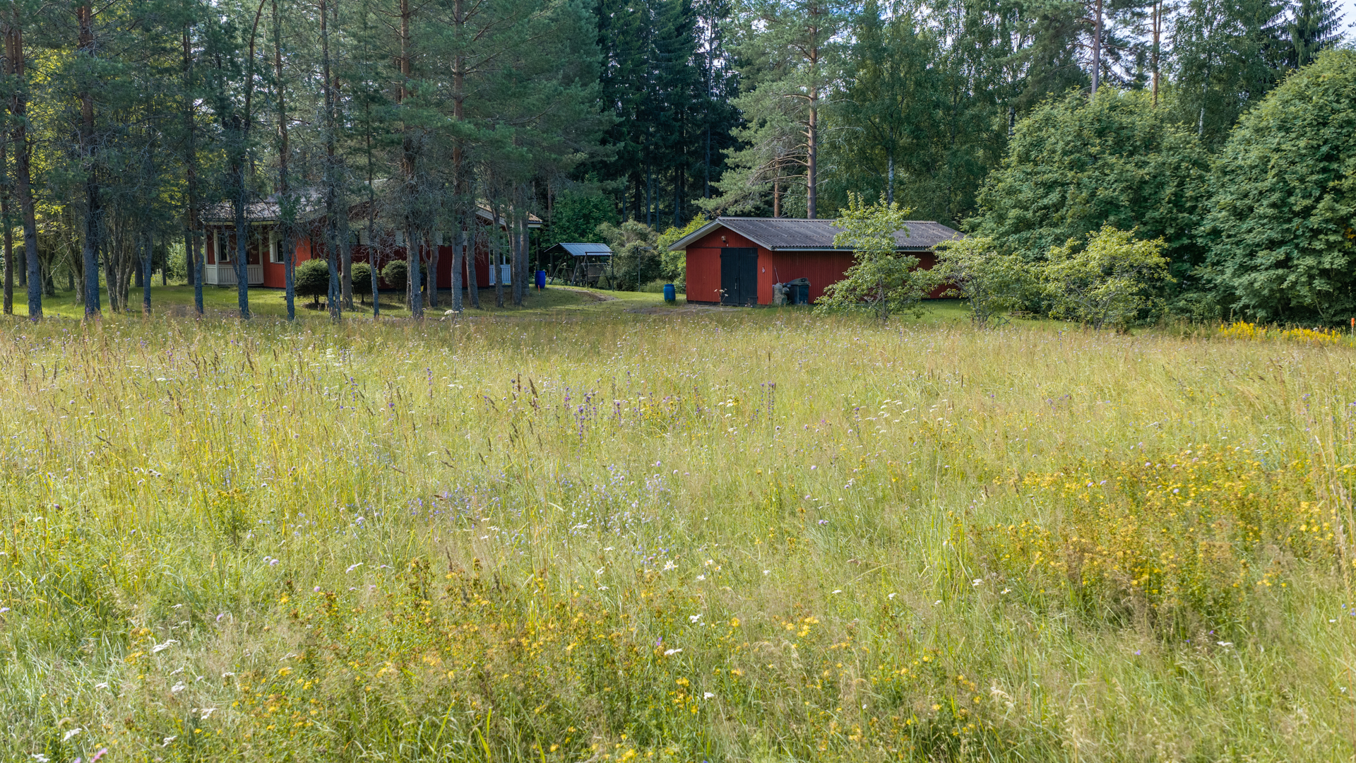 Pajulantie 4, Harjumaa, Mikkeli