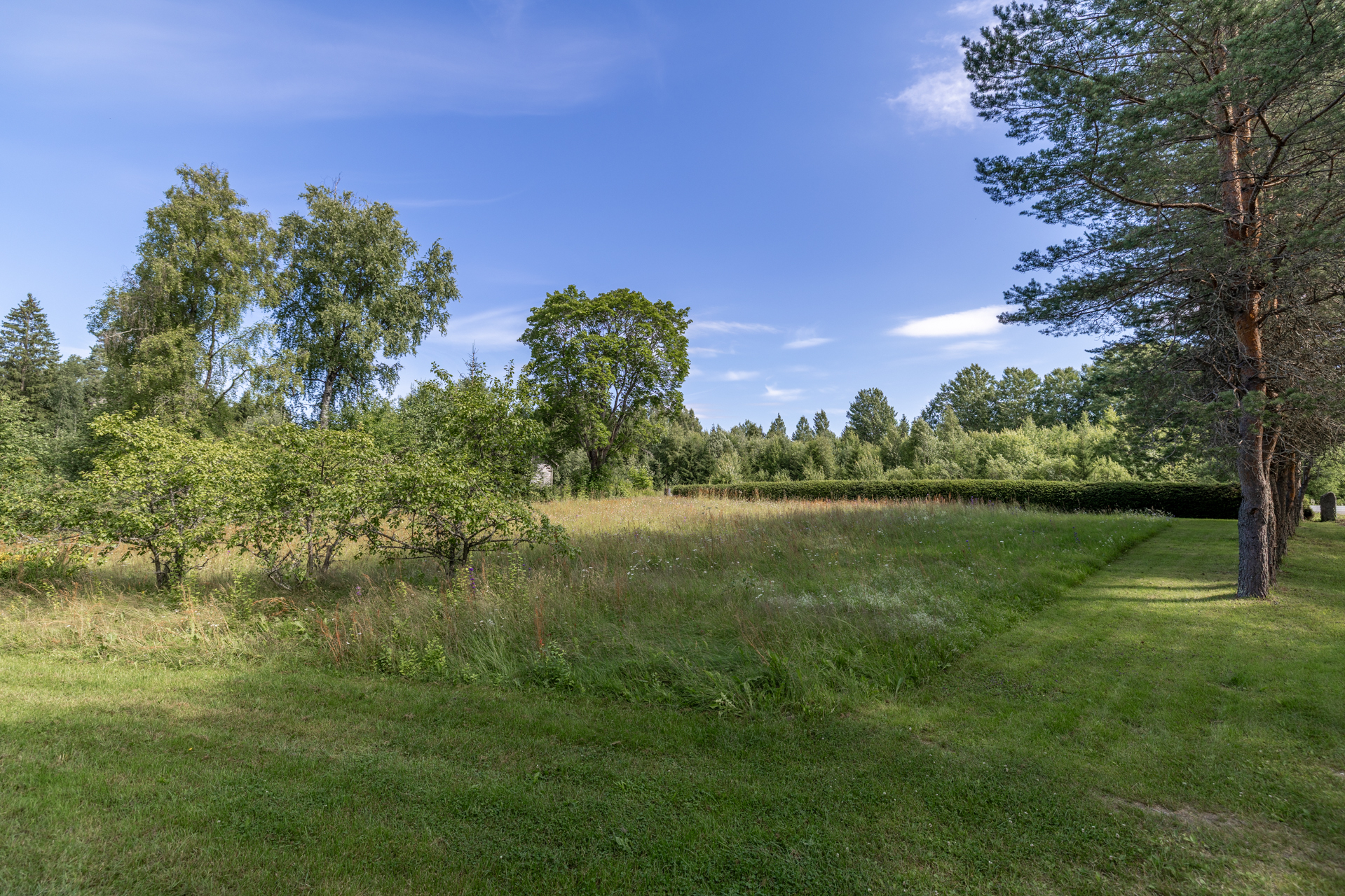 Pajulantie 4, Harjumaa, Mikkeli