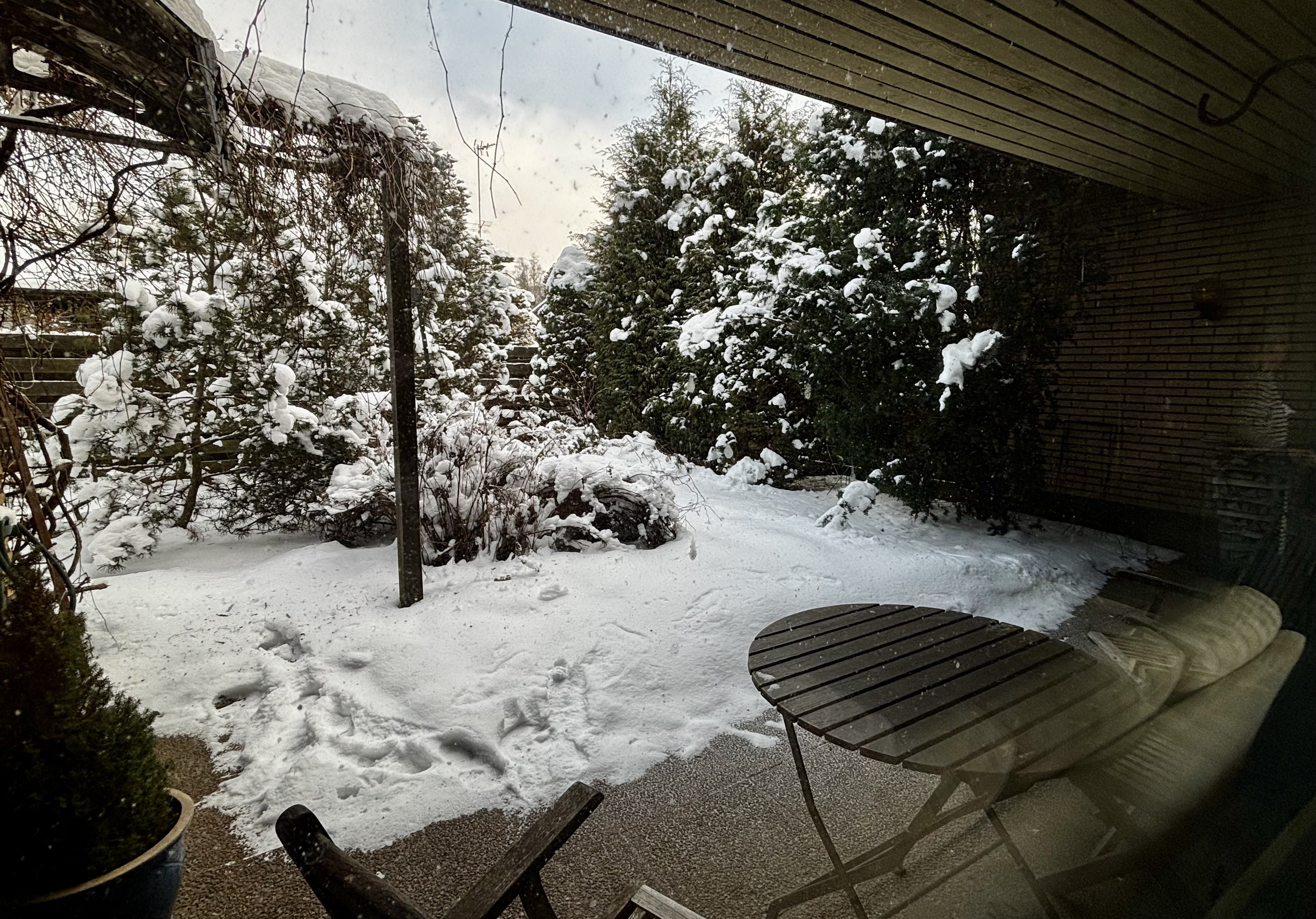 Näkymät olohuoneen ikkunasta takapihalle